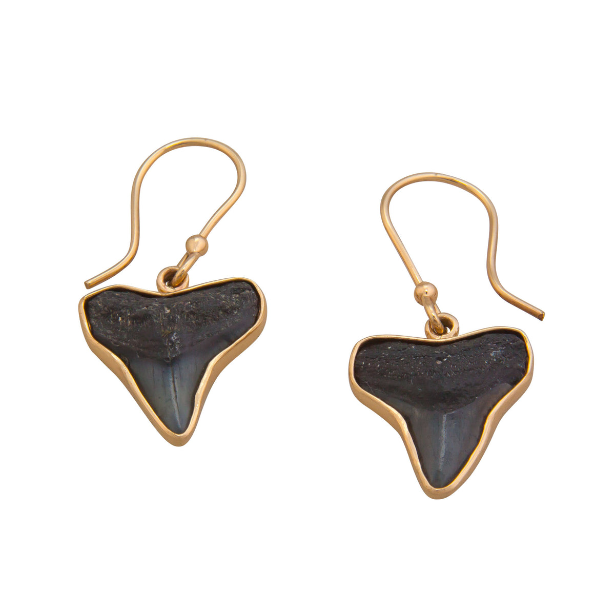 Alchemia Fossil Shark Teeth Drop Earrings | Charles Albert Jewelry