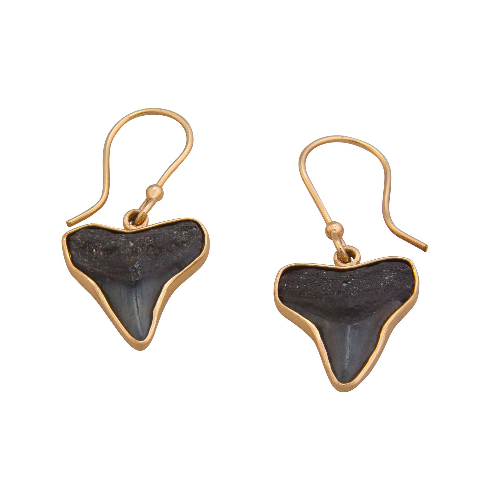 Alchemia Fossil Shark Teeth Drop Earrings | Charles Albert Jewelry