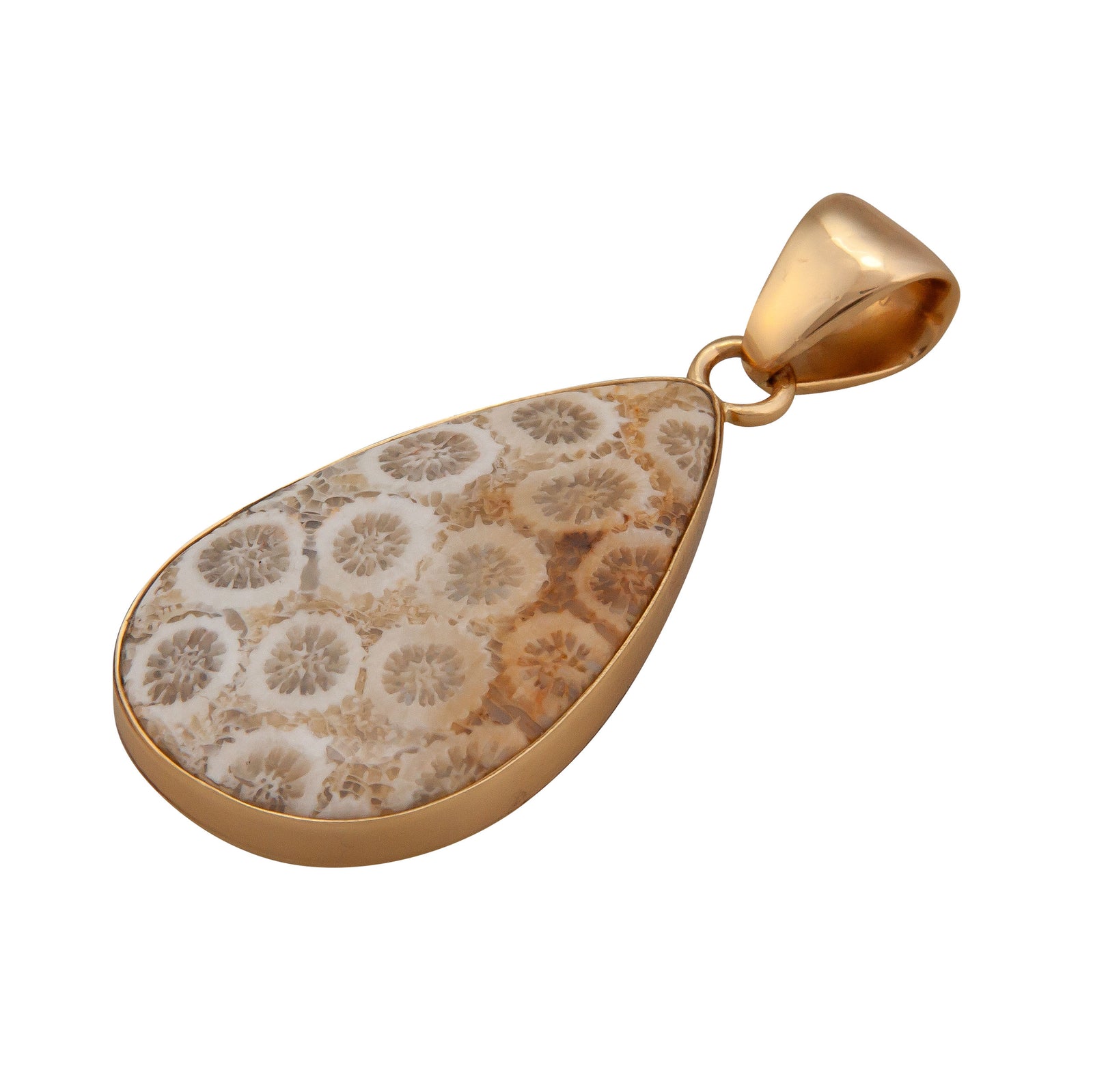 Alchemia Fossilized Coral Teardrop Pendant | Charles Albert Jewelry