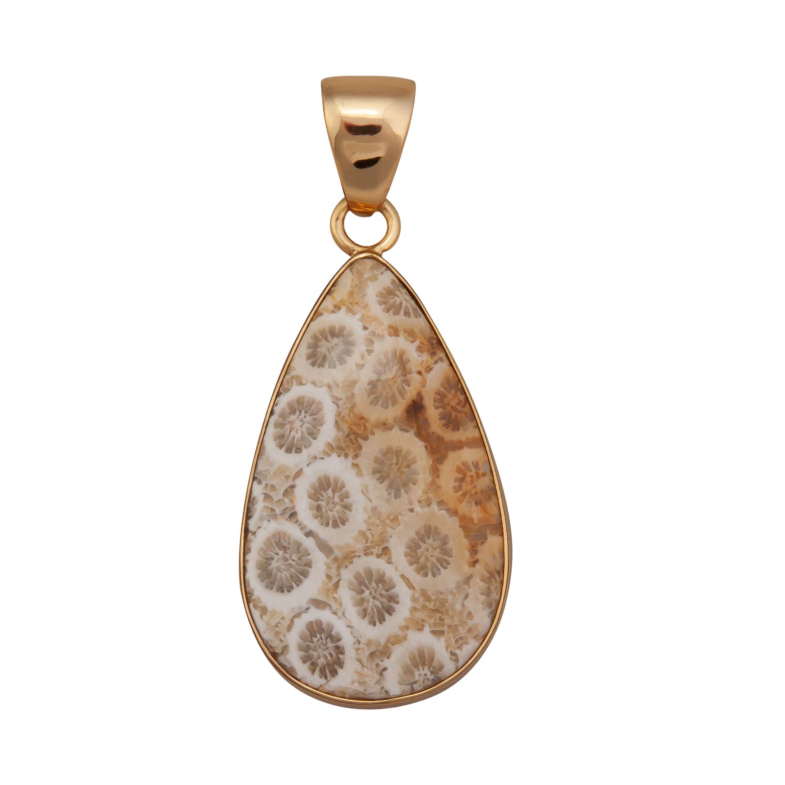 Alchemia Fossilized Coral Teardrop Pendant | Charles Albert Jewelry