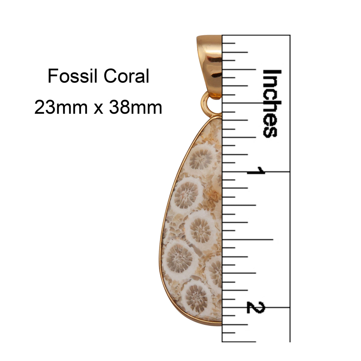 Alchemia Fossilized Coral Teardrop Pendant | Charles Albert Jewelry