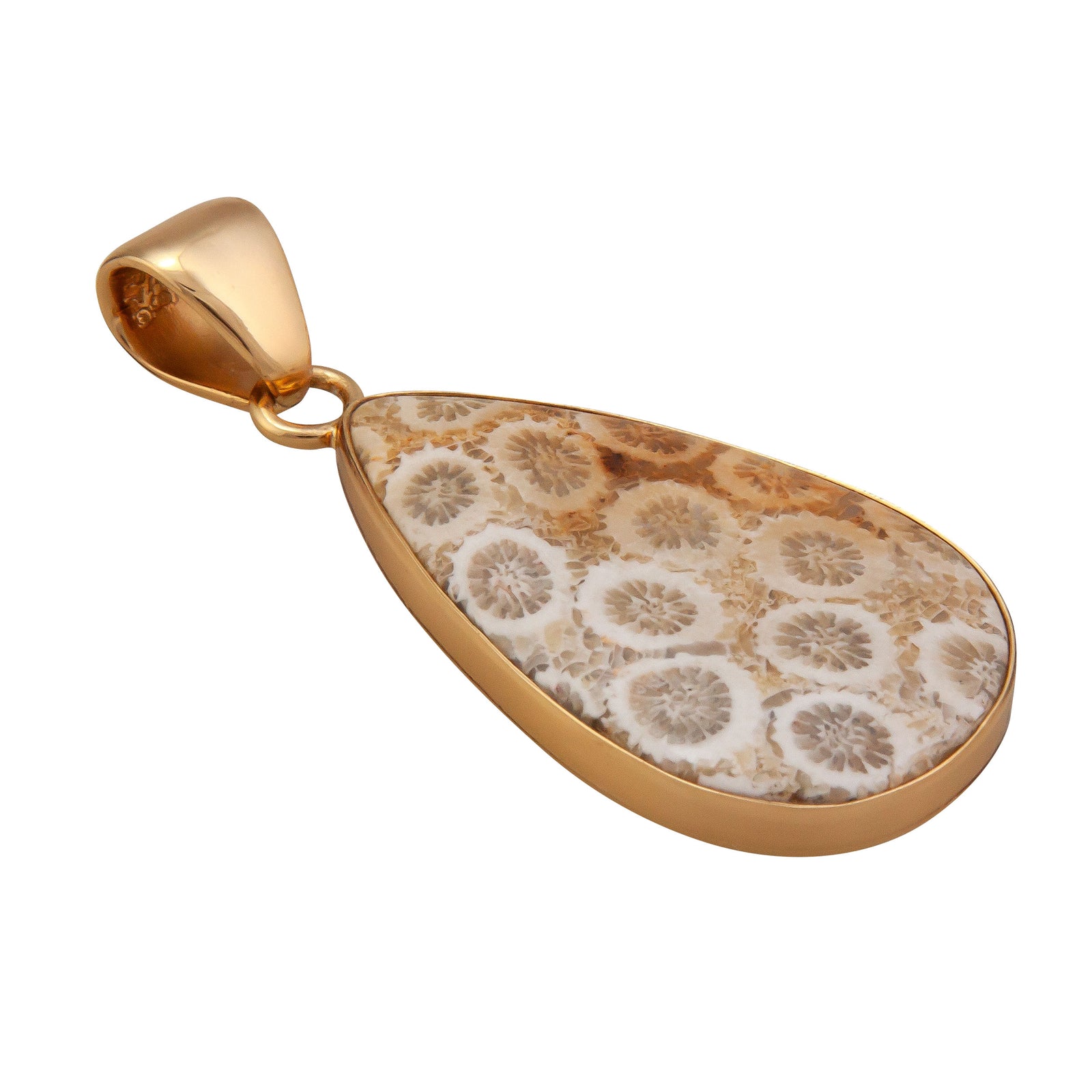 Alchemia Fossilized Coral Teardrop Pendant | Charles Albert Jewelry