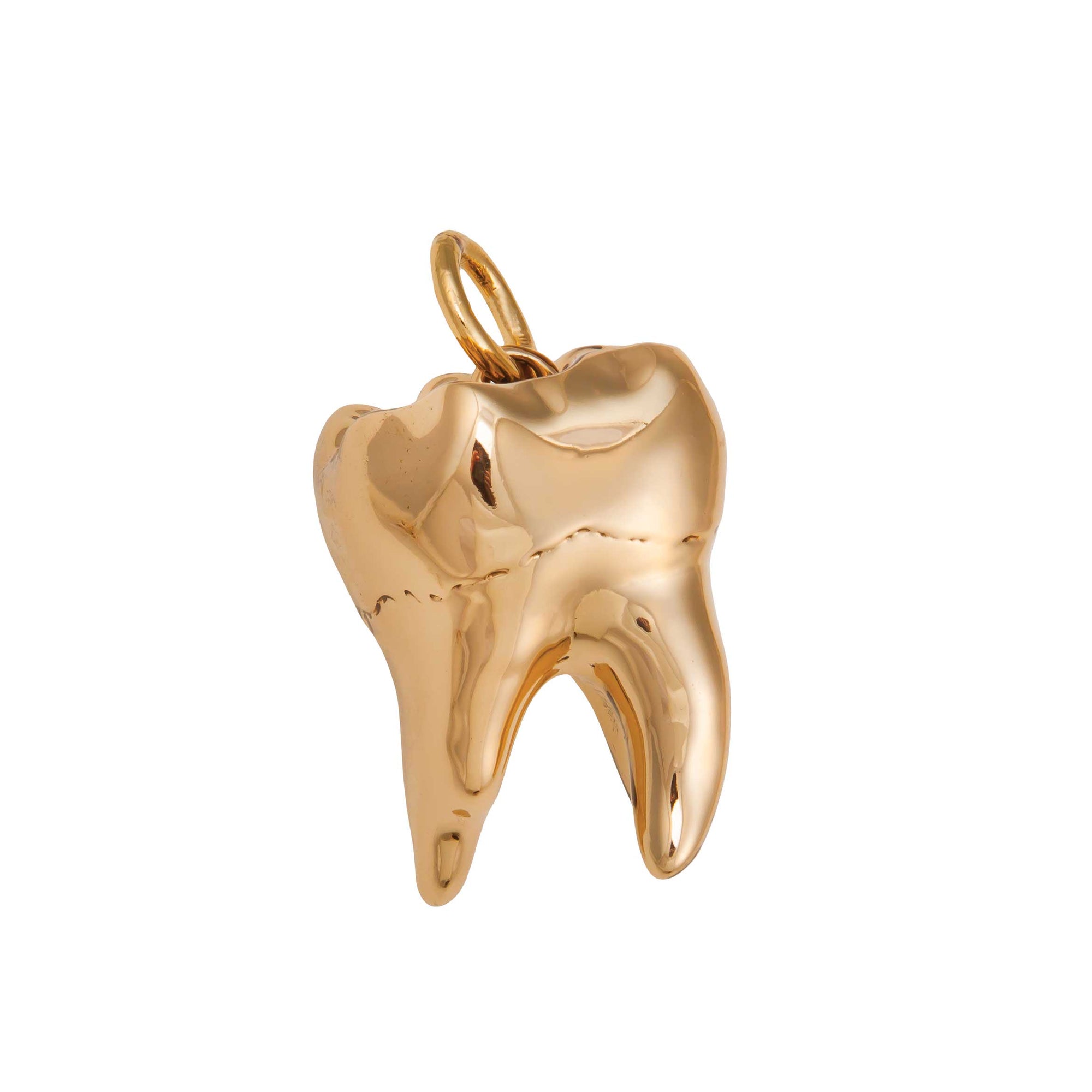 Alchemia Large Tooth Pendant | Charles Albert Jewelry