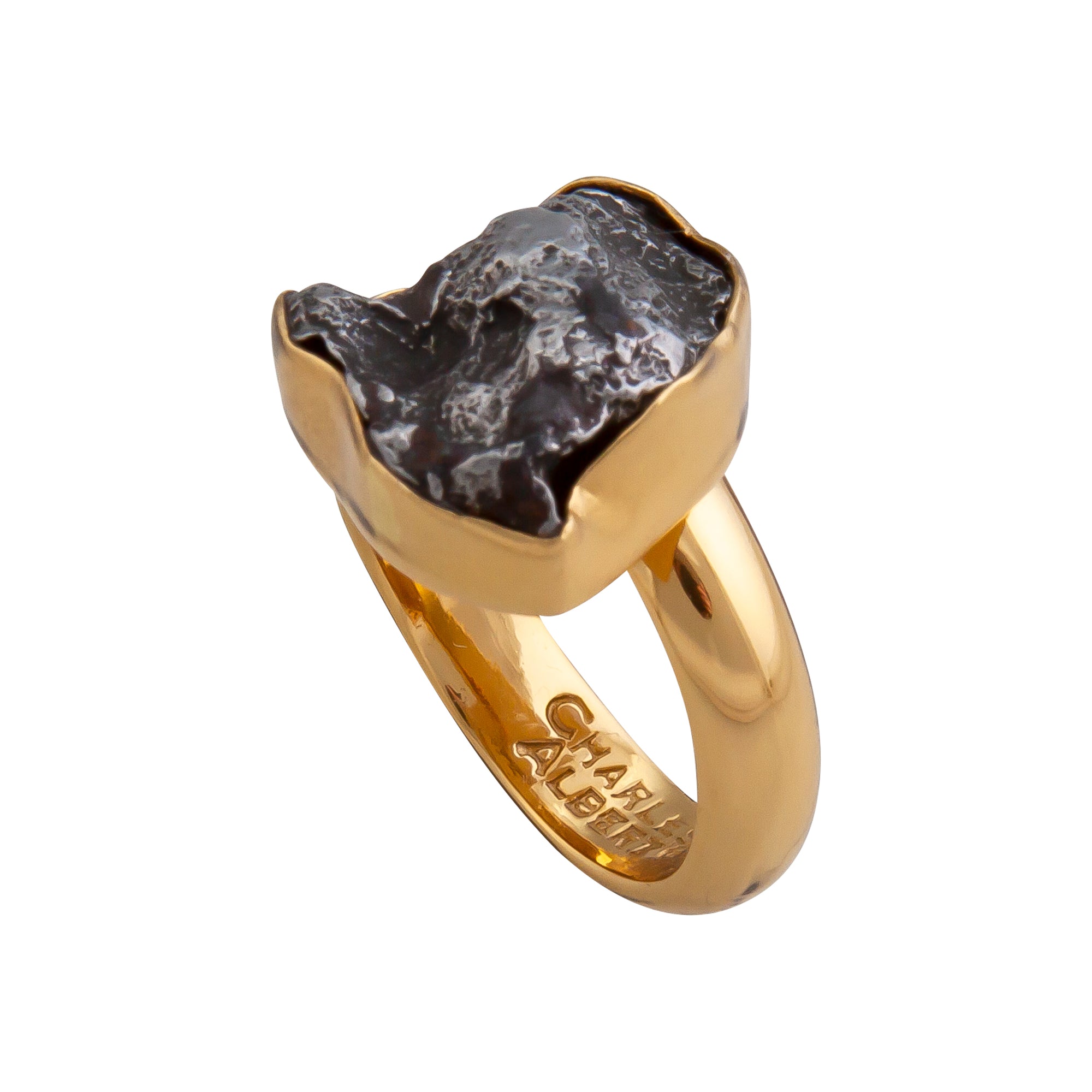 Alchemia Meteorite Adjustable Ring | Charles Albert Jewelry