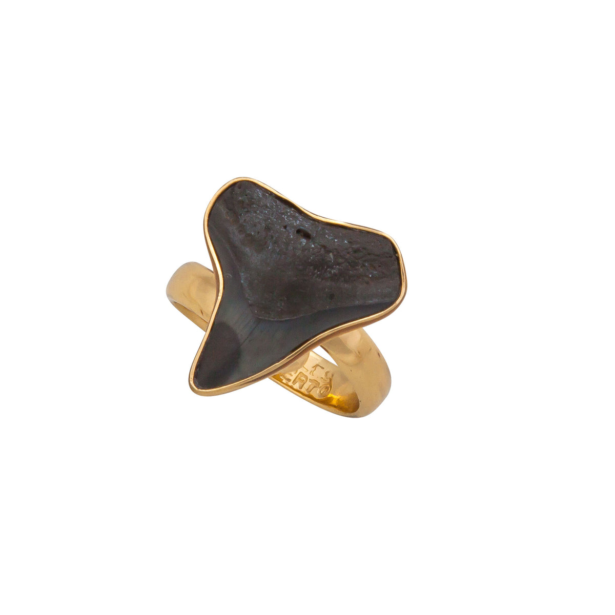 Alchemia Mini Shark Tooth Adjustable Ring | Charles Albert Jewelry