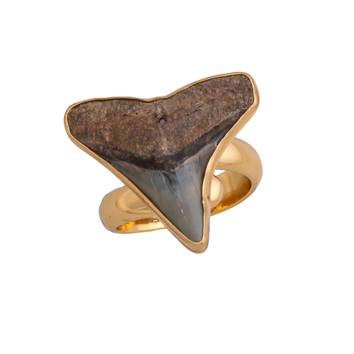 Alchemia Mini Shark Tooth Adjustable Ring | Charles Albert Jewelry