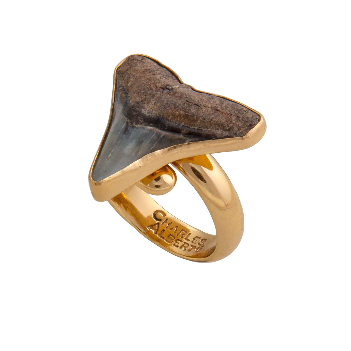 Alchemia Mini Shark Tooth Adjustable Ring | Charles Albert Jewelry