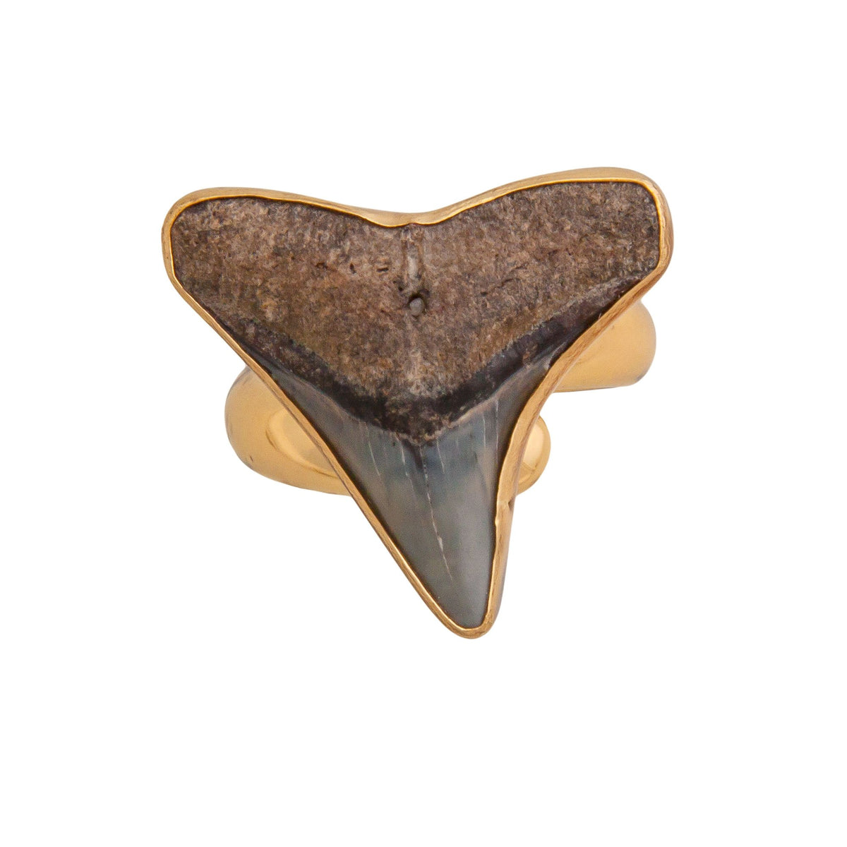 Alchemia Mini Shark Tooth Adjustable Ring | Charles Albert Jewelry