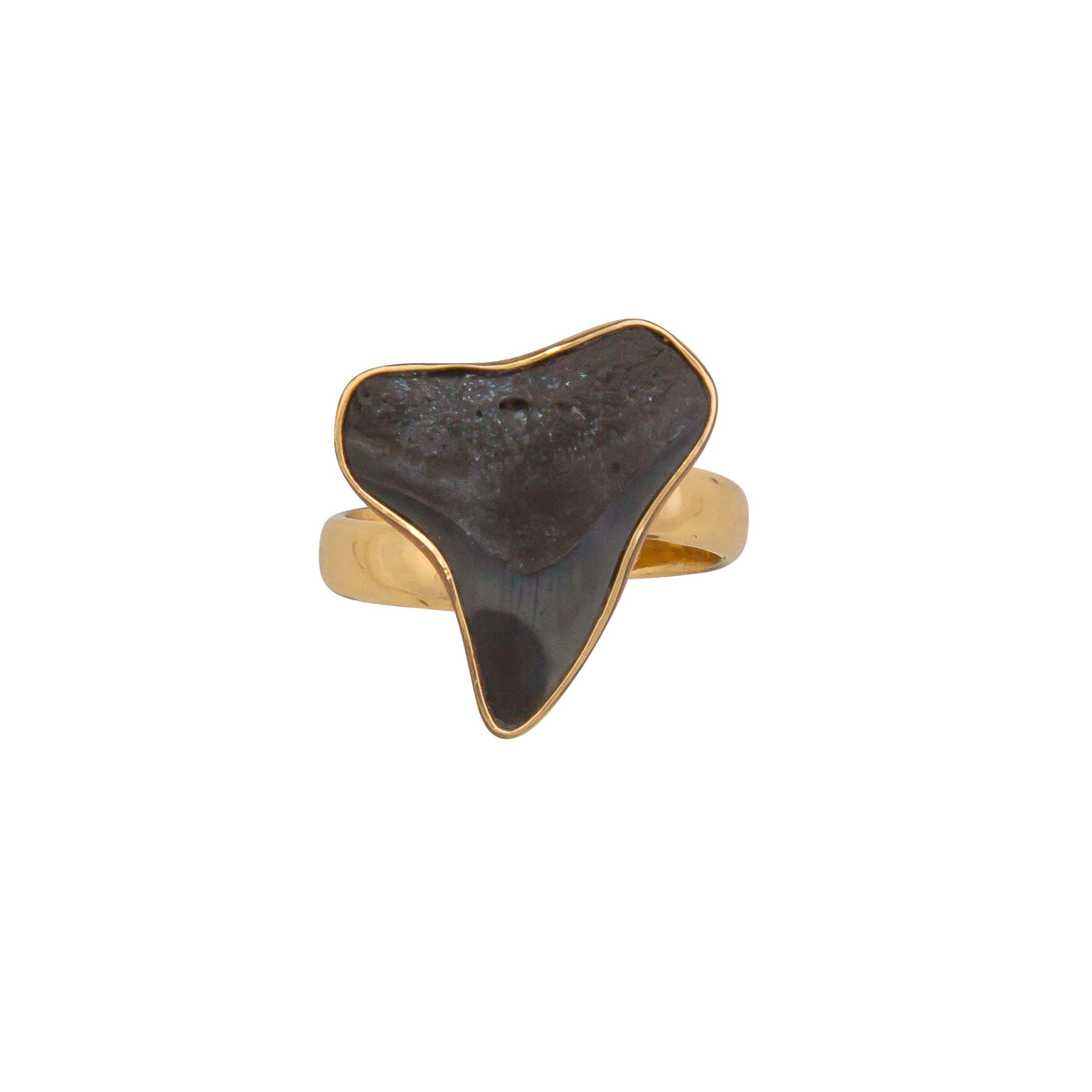 Alchemia Mini Shark Tooth Adjustable Ring | Charles Albert Jewelry
