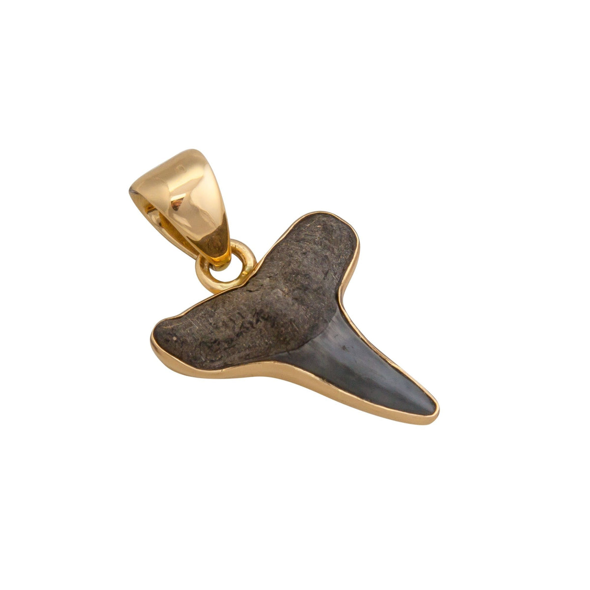 Alchemia Mini Shark Tooth Pendant | Charles Albert Jewelry