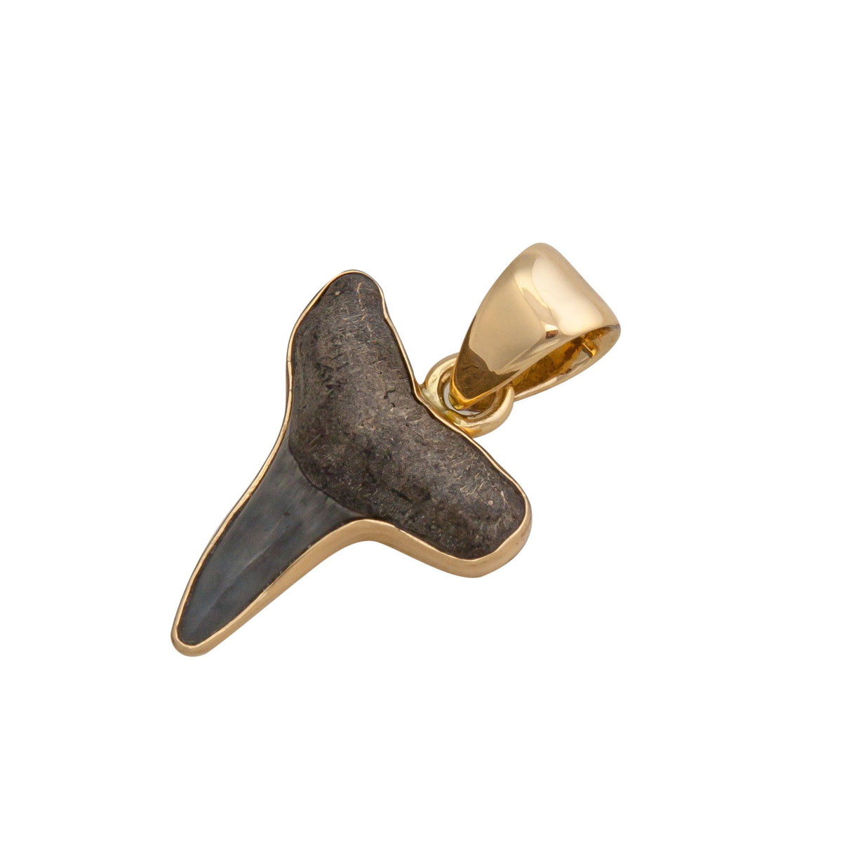 Alchemia Mini Shark Tooth Pendant | Charles Albert Jewelry