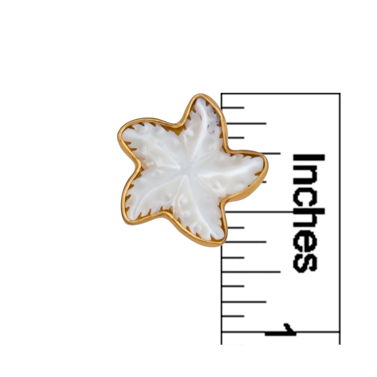 Alchemia Mother of Pearl Starfish Post Earrings | Charles Albert Jewelry