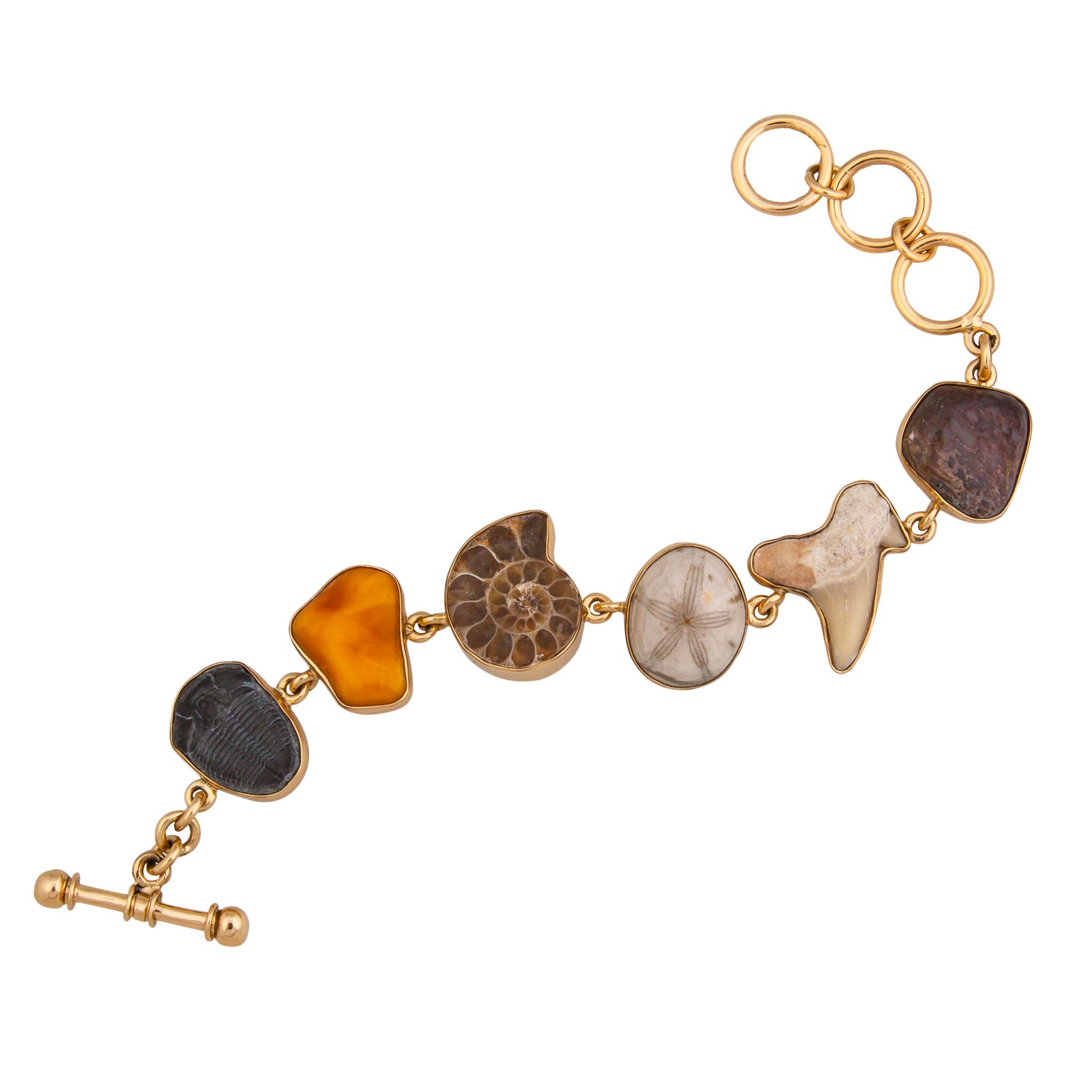 Alchemia Multi-Fossil Bracelet | Charles Albert Jewelry