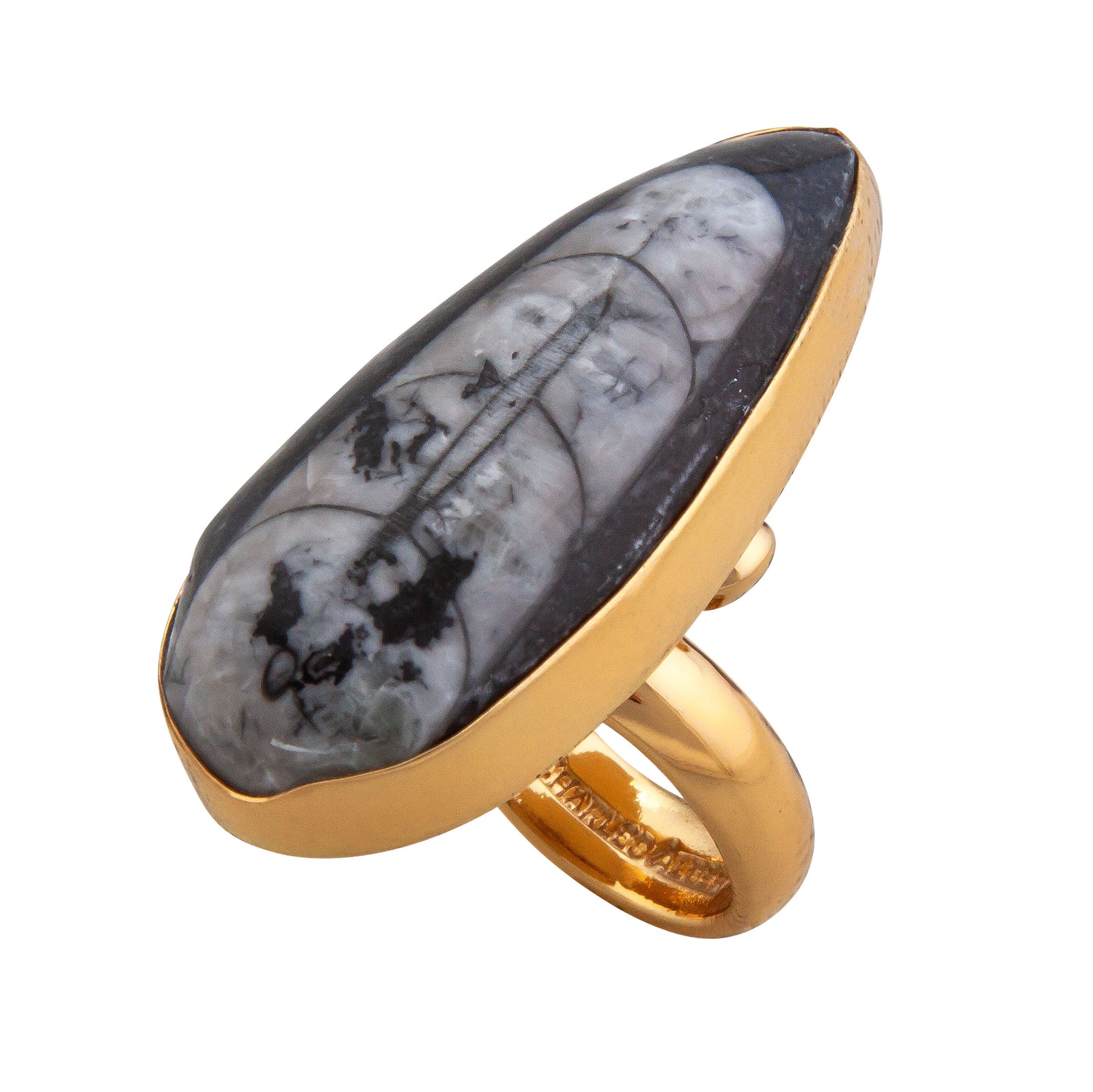 Alchemia Orthoceras Adjustable Ring | Charles Albert Jewelry