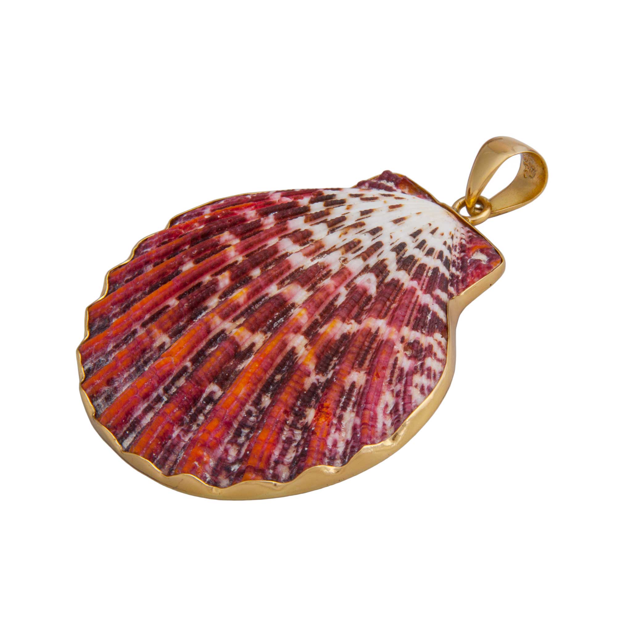 Alchemia Pectin Shell Pendant | Charles Albert Jewelry