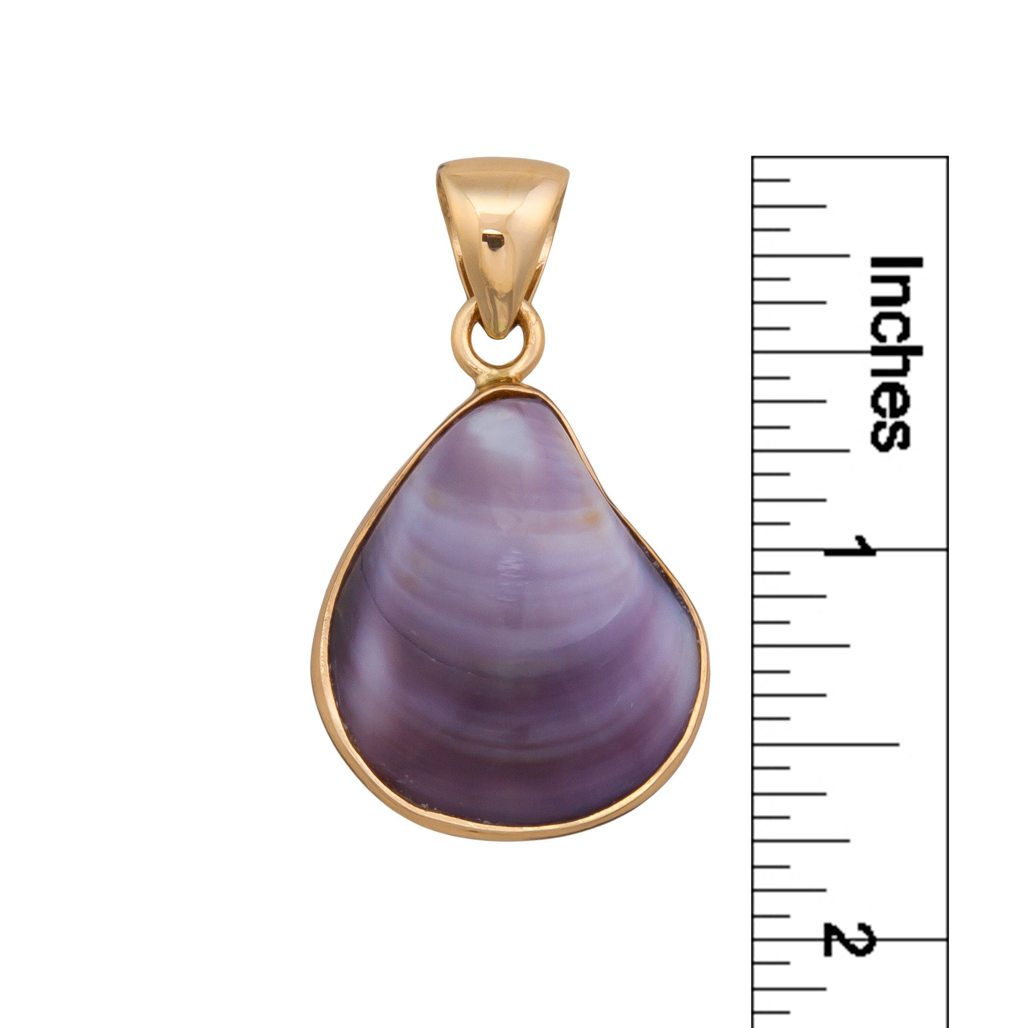 Alchemia Purple Clam Pendant | Charles Albert Jewelry