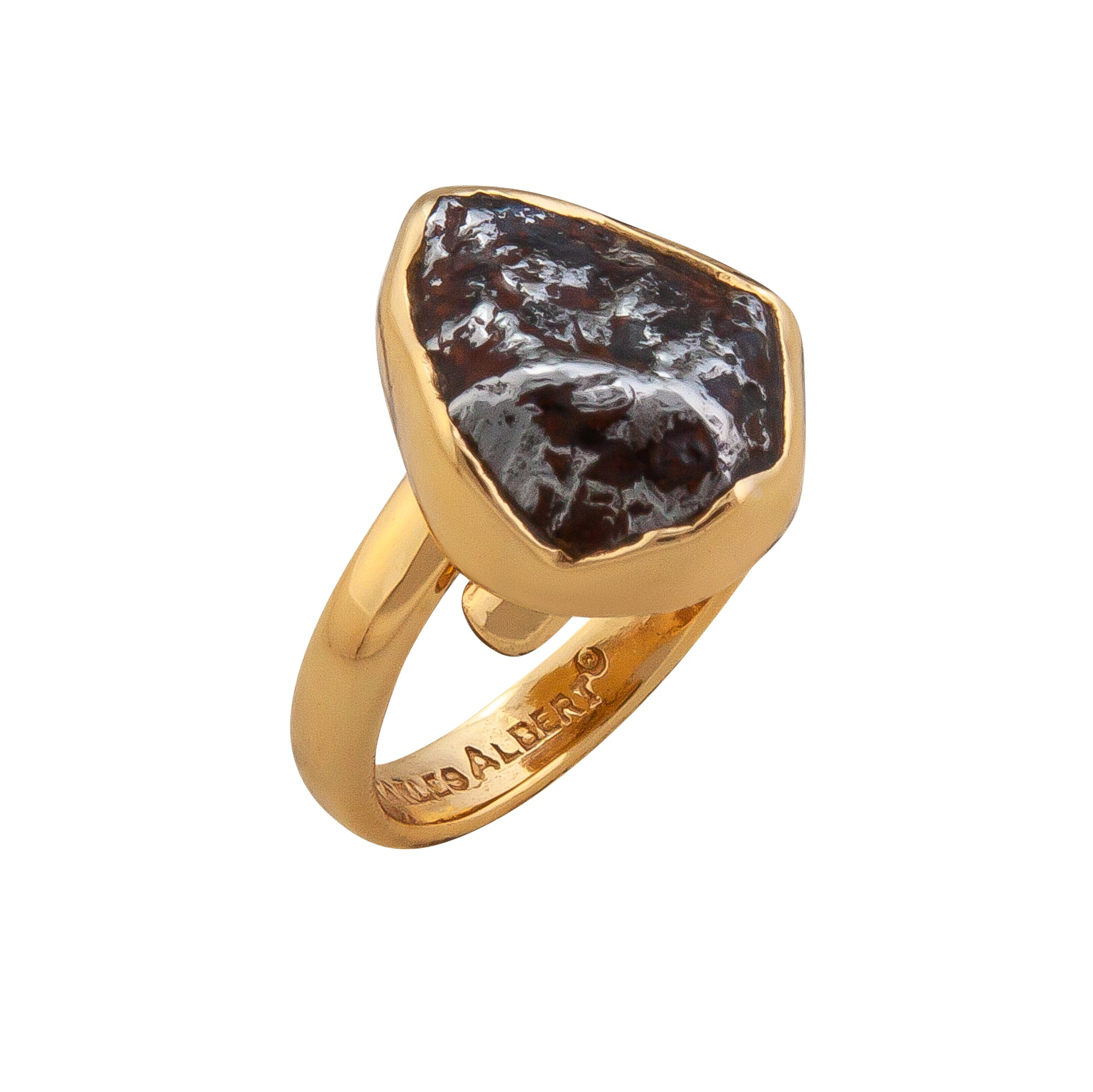 Alchemia Meteorite Adjustable Ring | Charles Albert Jewelry