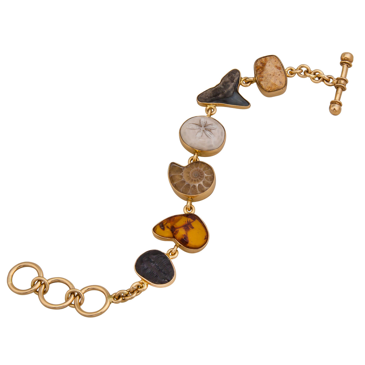 Alchemia Small Multi-Fossil Bracelet | Charles Albert Jewelry