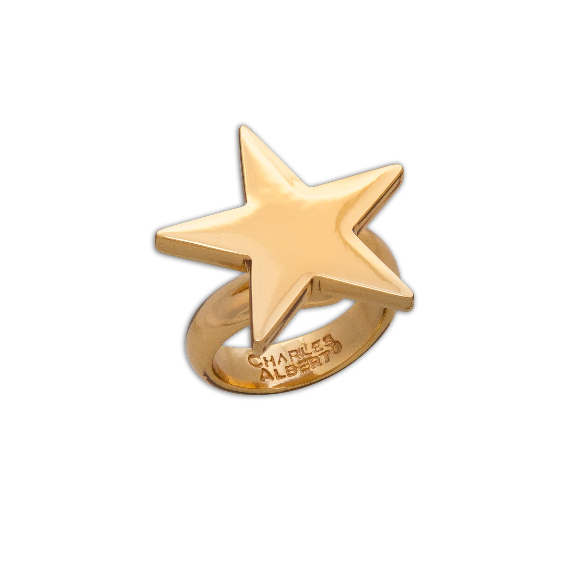 Alchemia Star Adjustable Ring | Charles Albert Jewelry