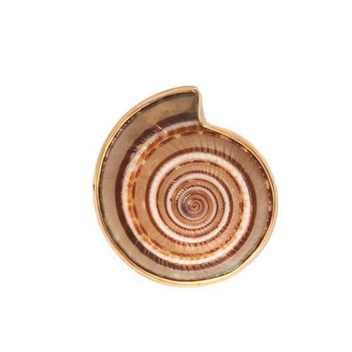 Alchemia Sundial Shell Adjustable Ring | Charles Albert Jewelry