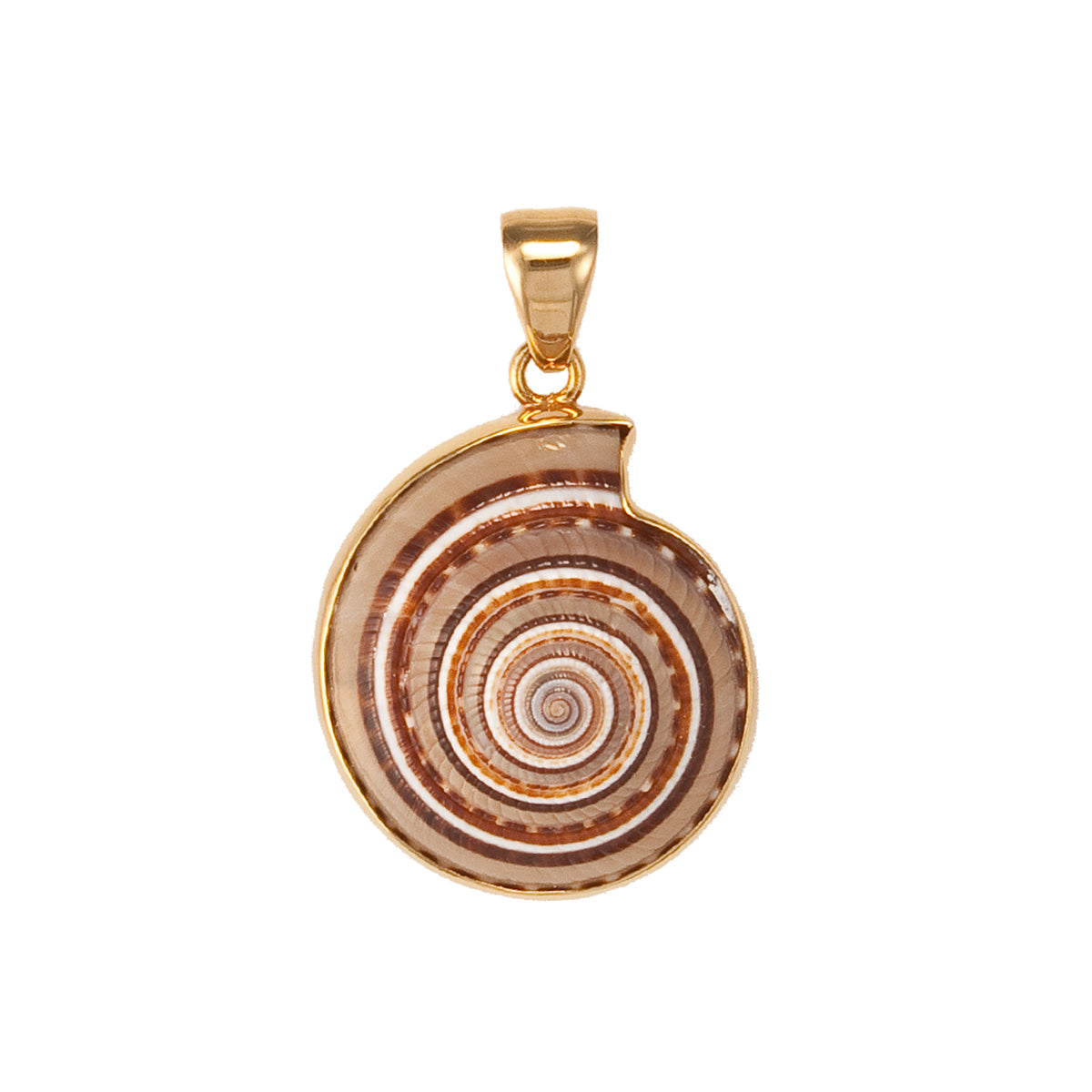 Alchemia Sundial Shell Pendant | Charles Albert Jewelry