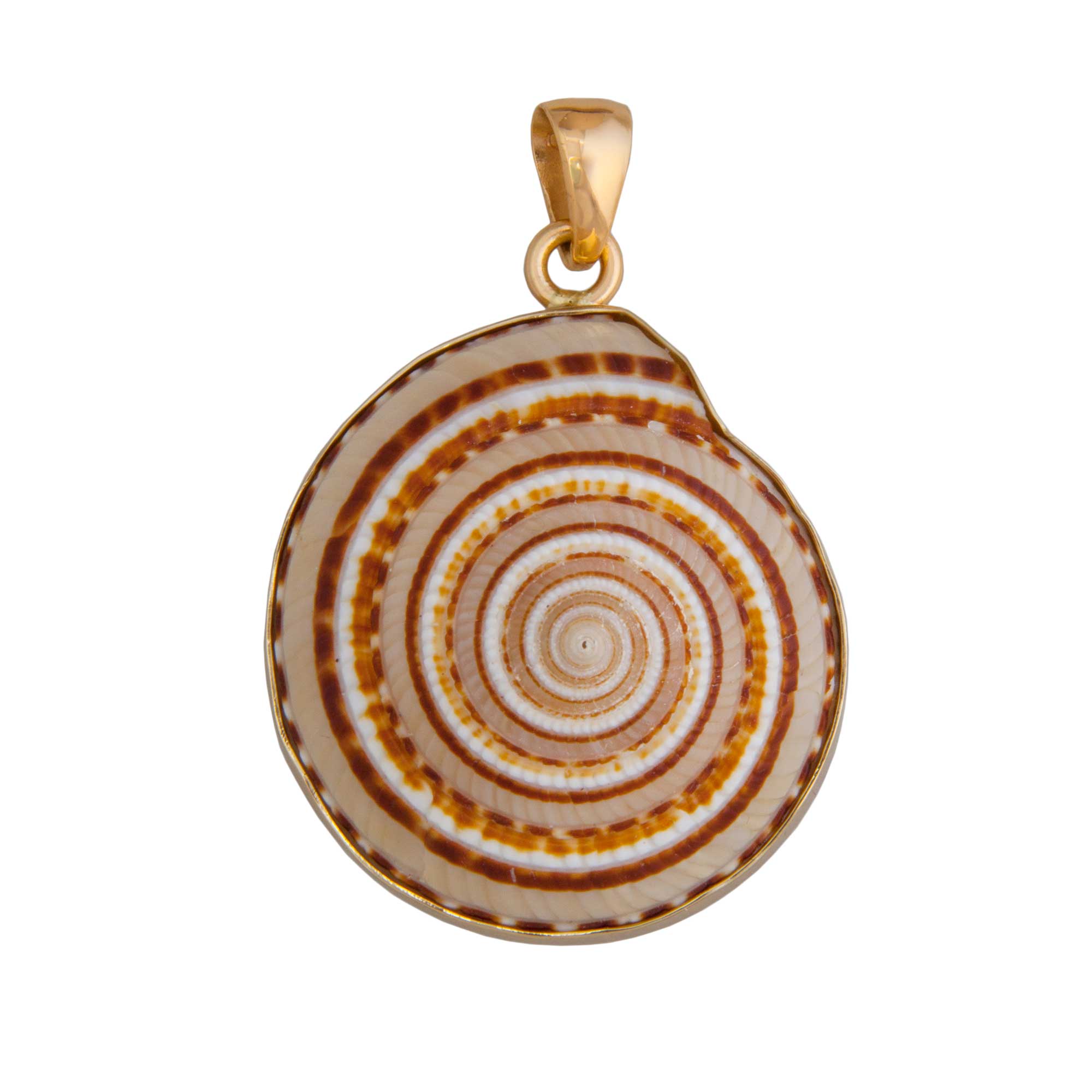 Alchemia Sundial Shell Pendant - Charles Albert Inc