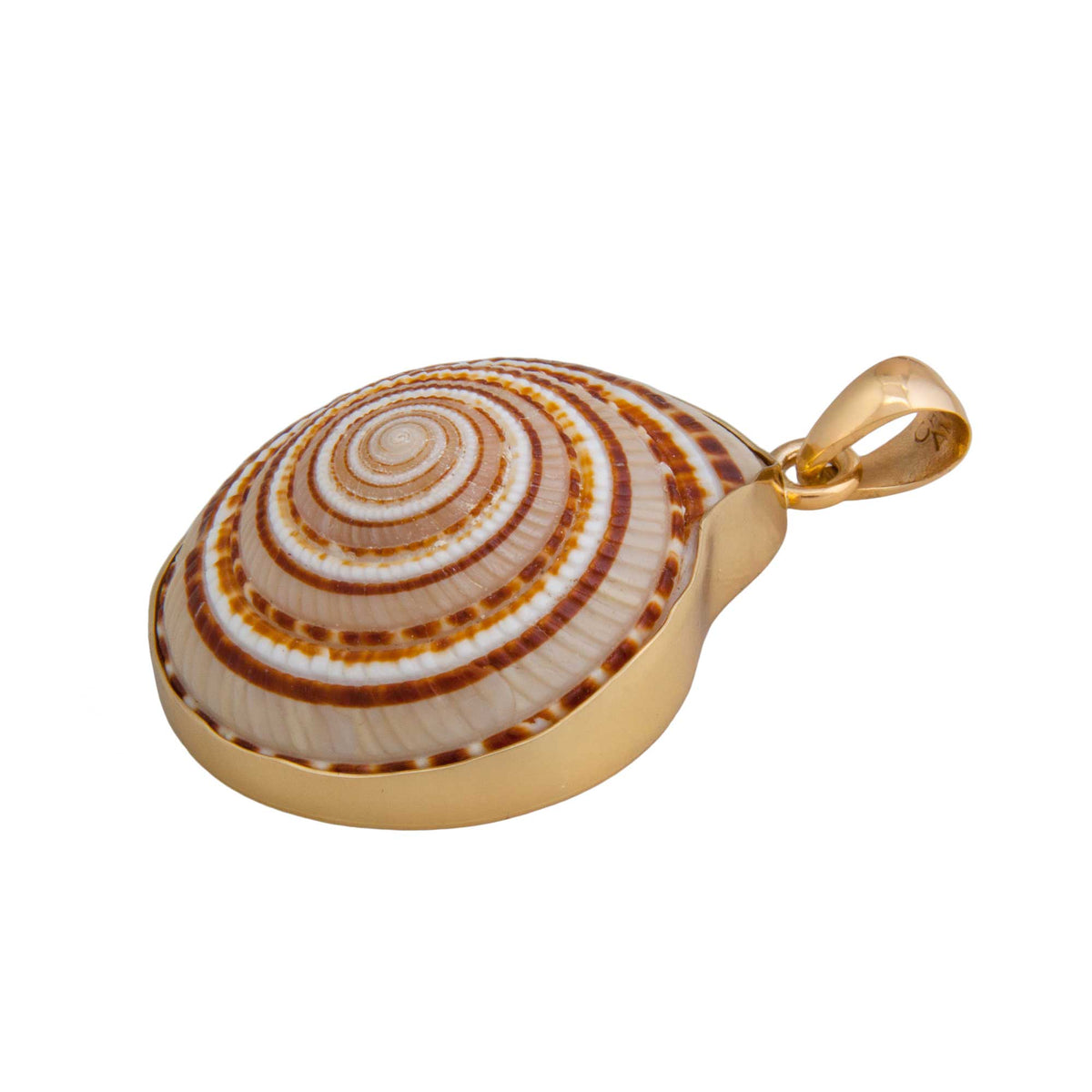 Alchemia Sundial Shell Pendant | Charles Albert Jewelry