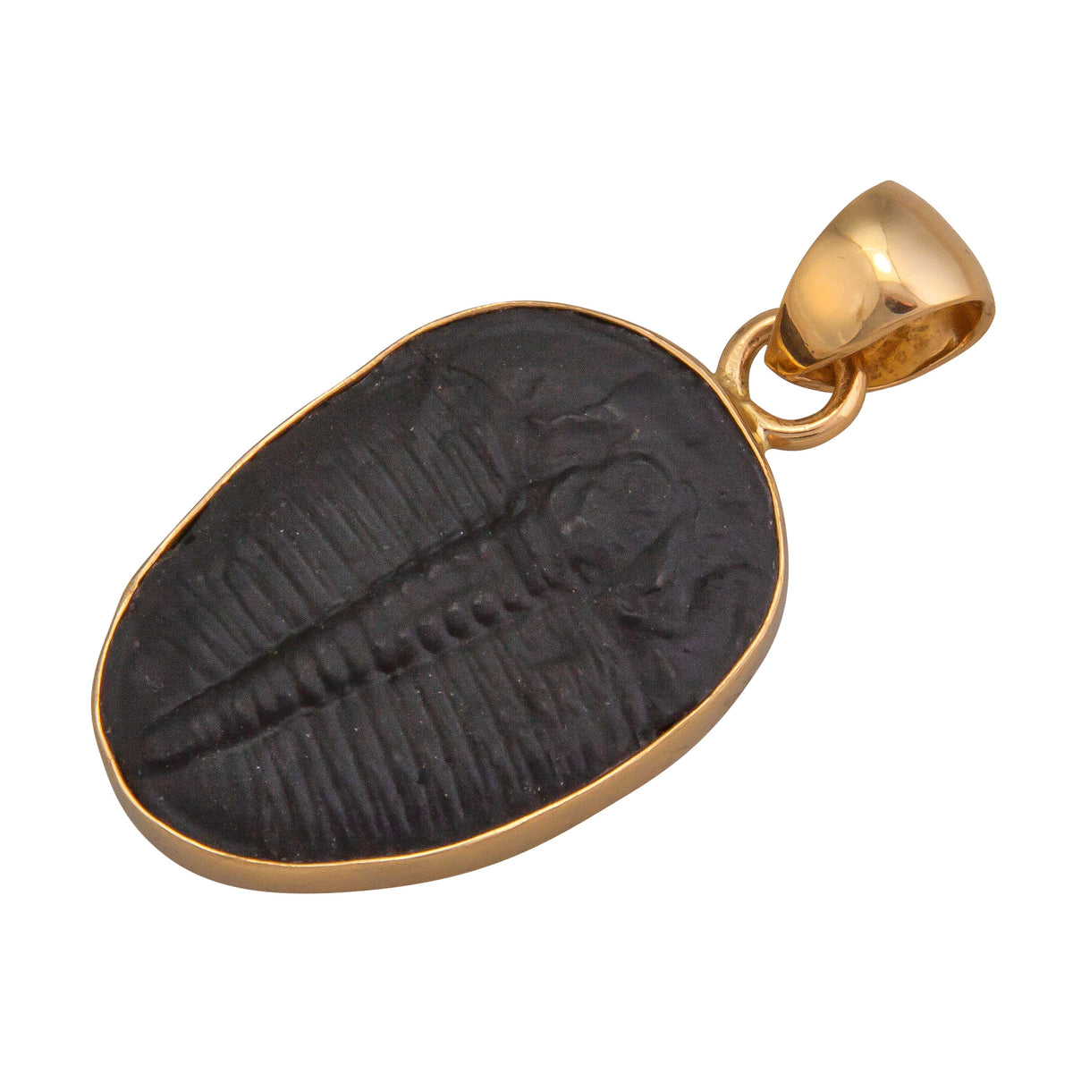 Alchemia Trilobite Pendant | Charles Albert Jewelry