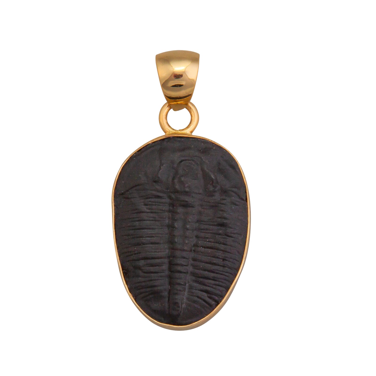 Alchemia Trilobite Pendant | Charles Albert Jewelry