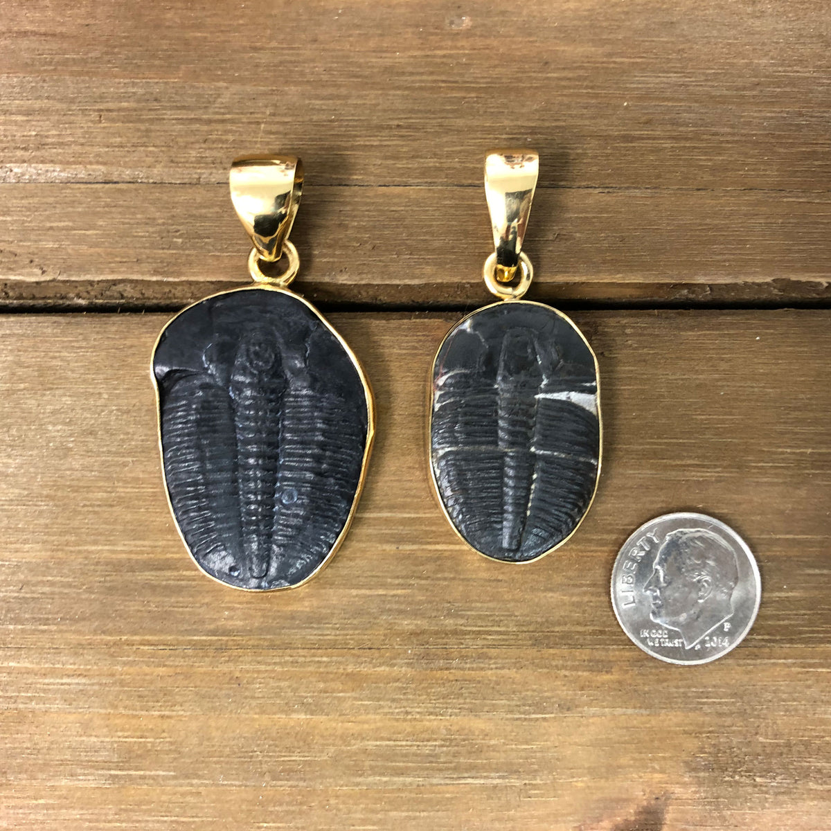 Alchemia Trilobite Pendant | Charles Albert Jewelry