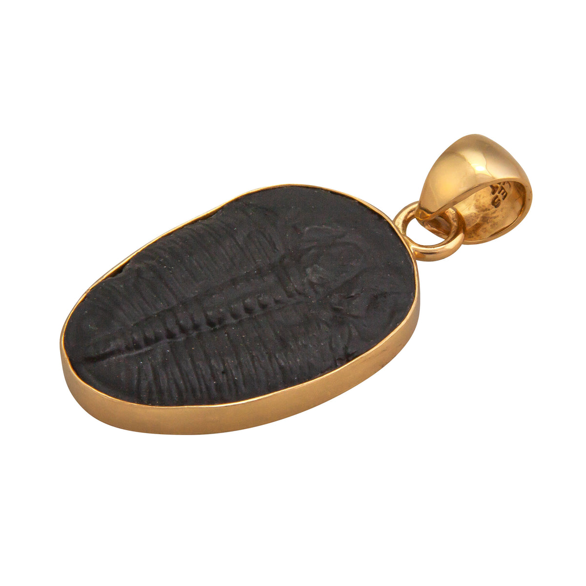 Alchemia Trilobite Pendant | Charles Albert Jewelry