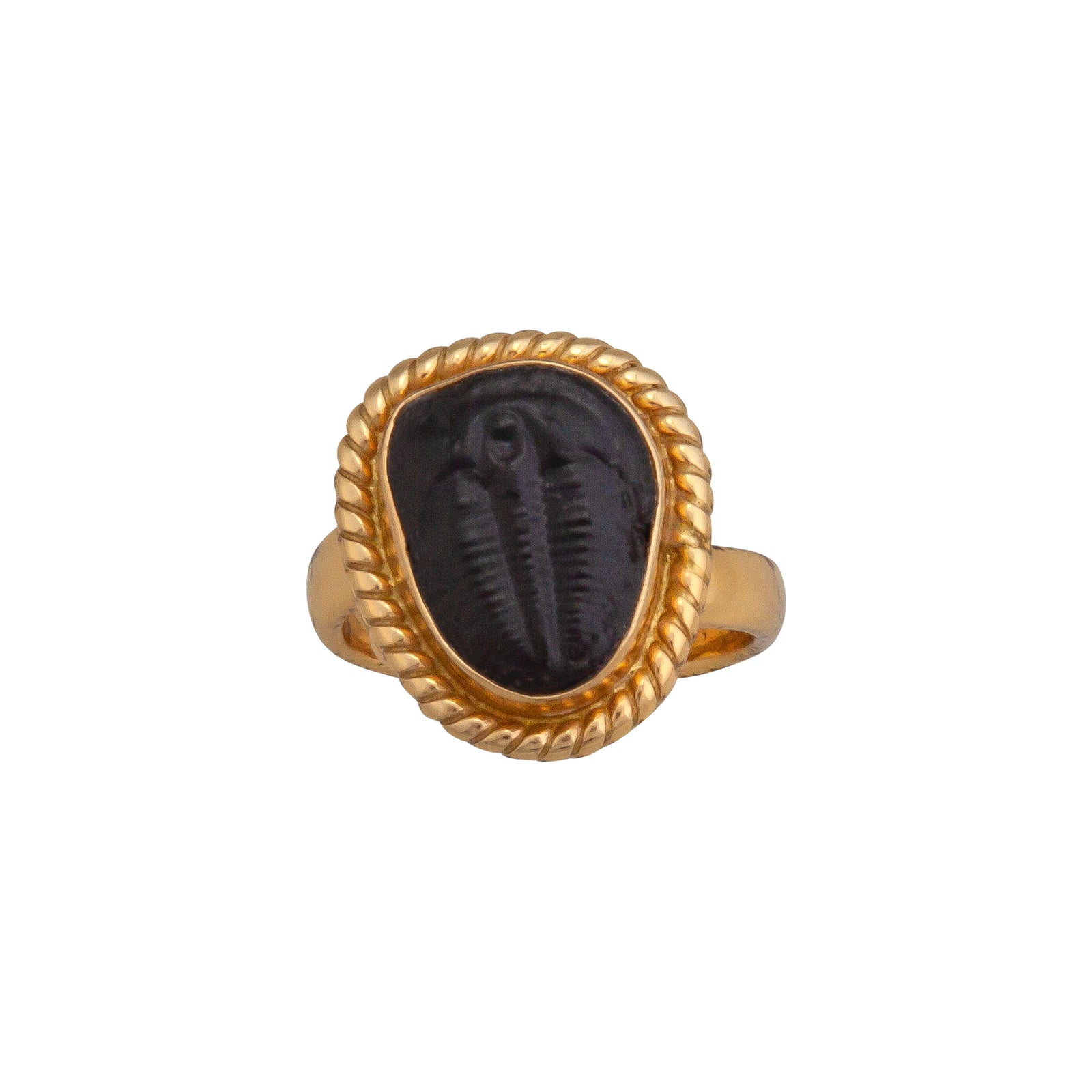 Alchemia Trilobite Rope Adjustable Ring | Charles Albert Jewelry