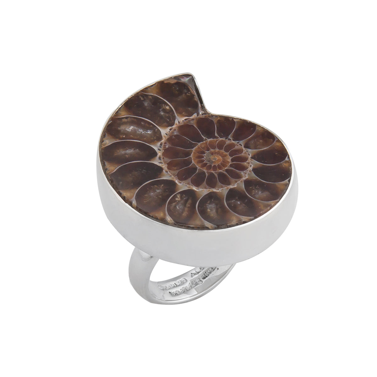 Sterling Silver Ammonite Adjustable Ring | Charles Albert Jewelry