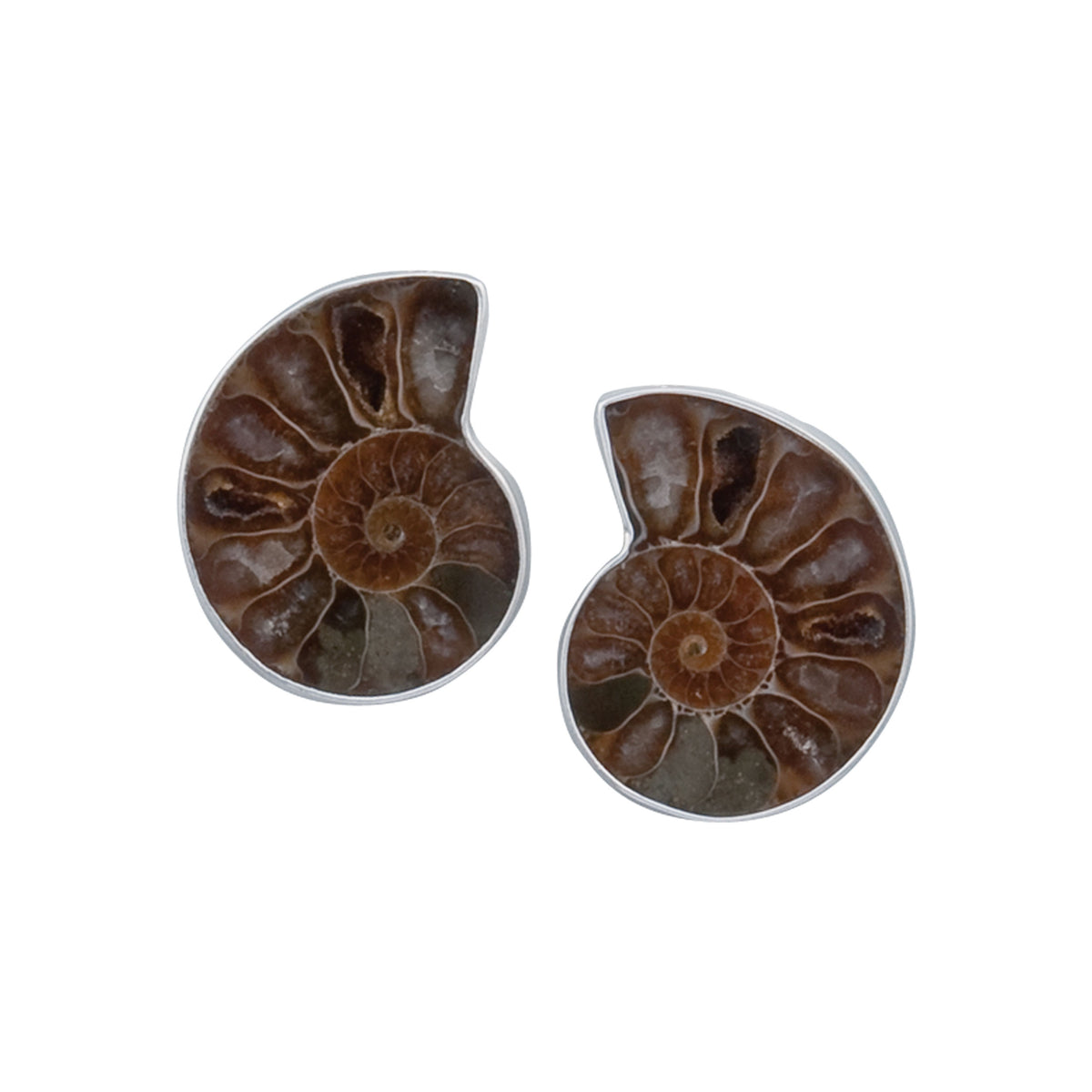 Sterling Silver Ammonite Post Earrings | Charles Albert Jewelry