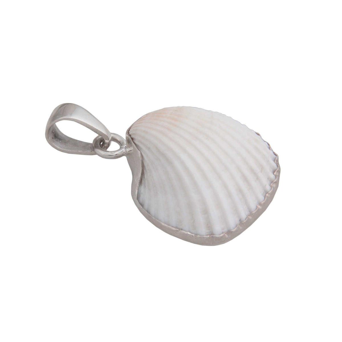 Sterling Silver Ark Shell Pendant | Charles Albert Jewelry