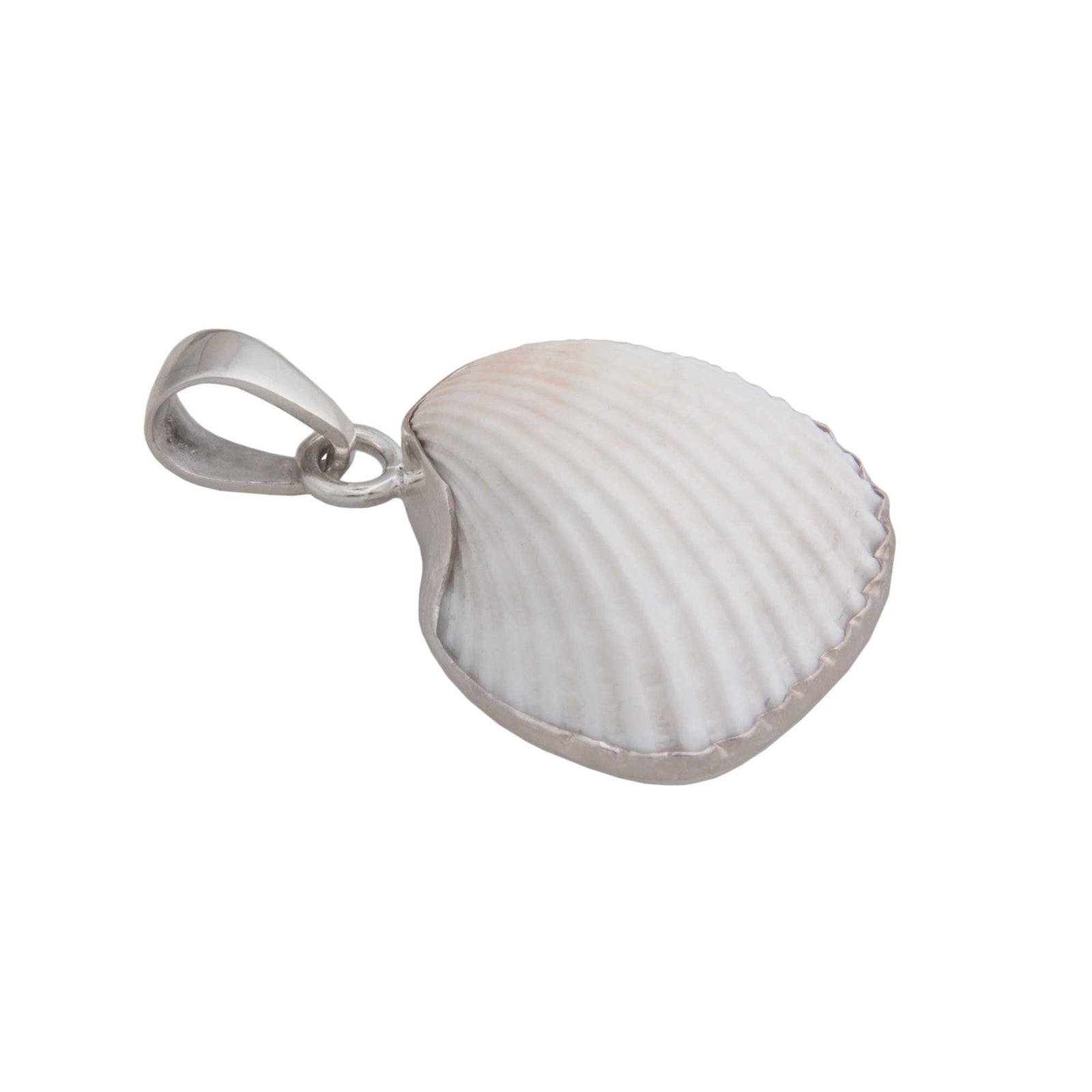 Sterling Silver Ark Shell Pendant | Charles Albert Jewelry