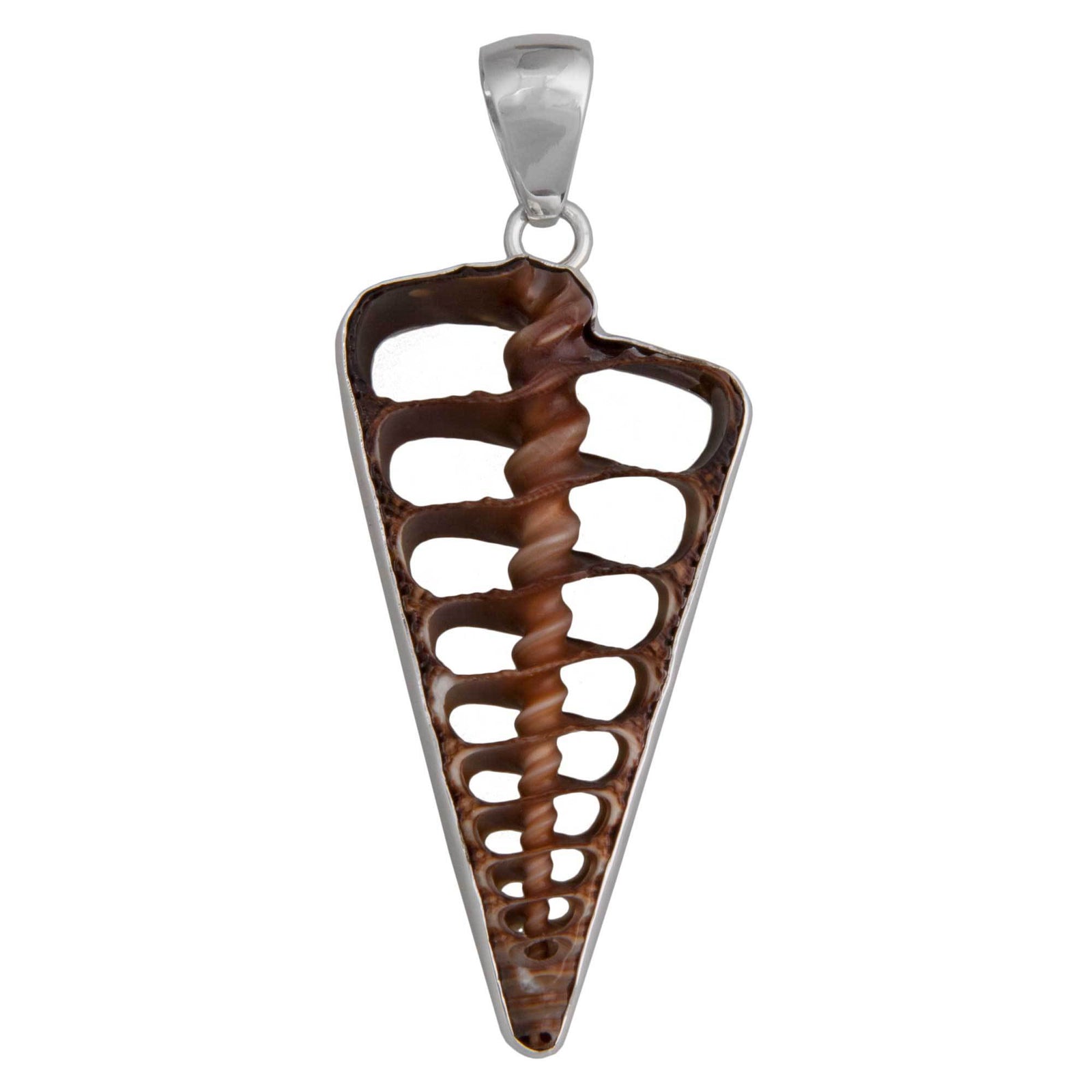 Sterling Silver Cerithium Telescopium Shell Pendant | Charles Albert Jewelry