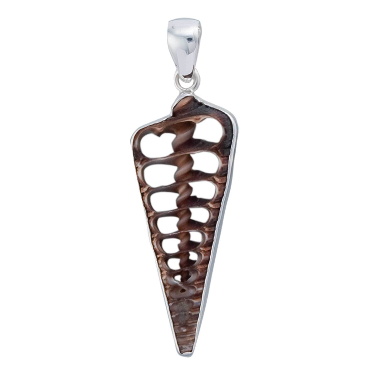 Sterling Silver Cerithium Telescopium Shell Pendant | Charles Albert Jewelry