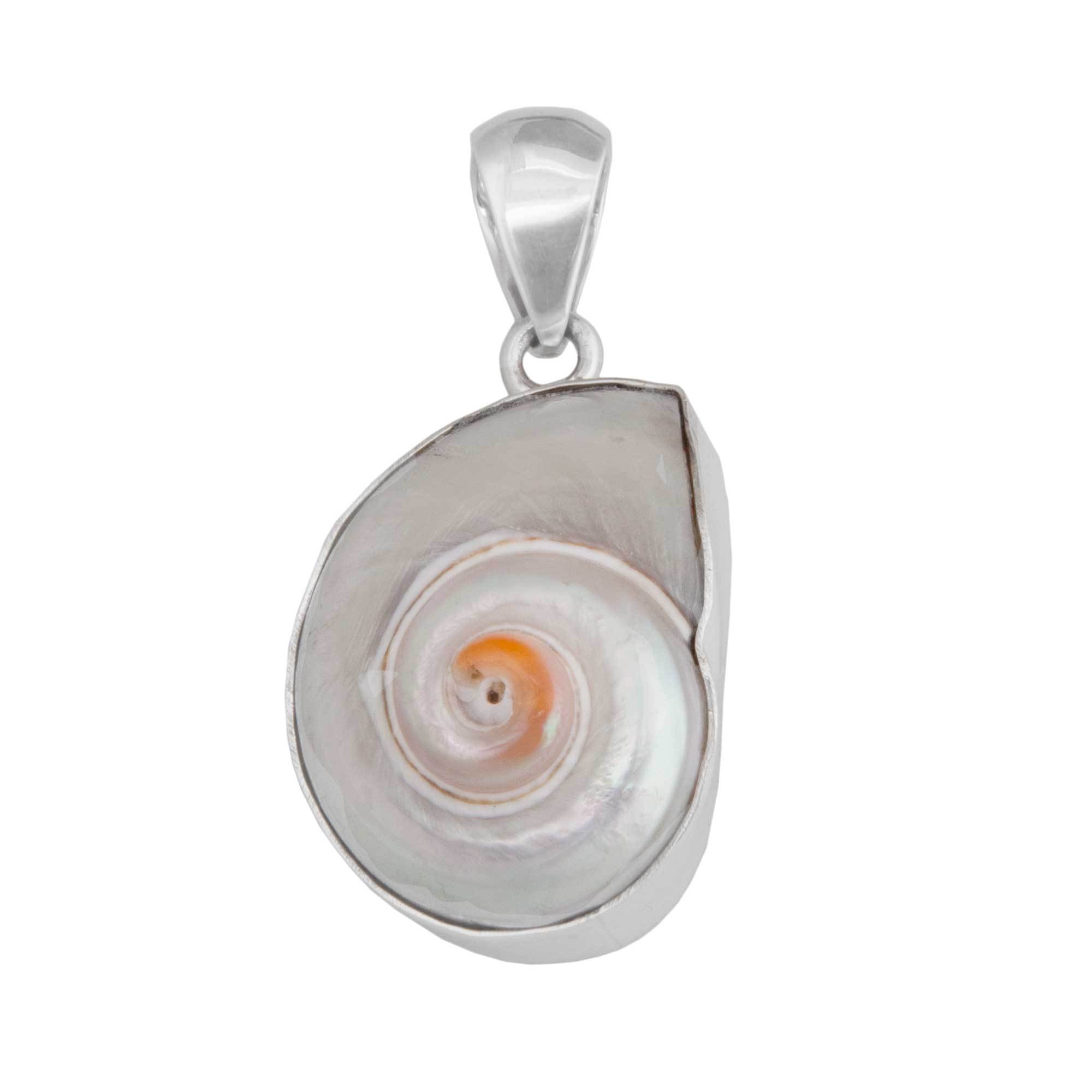 Sterling Silver Cinnerus Shell Pendant | Charles Albert Jewelry