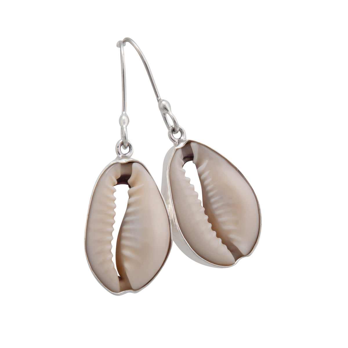 Sterling Silver Cowrie Shell Earrings | Charles Albert Jewelry