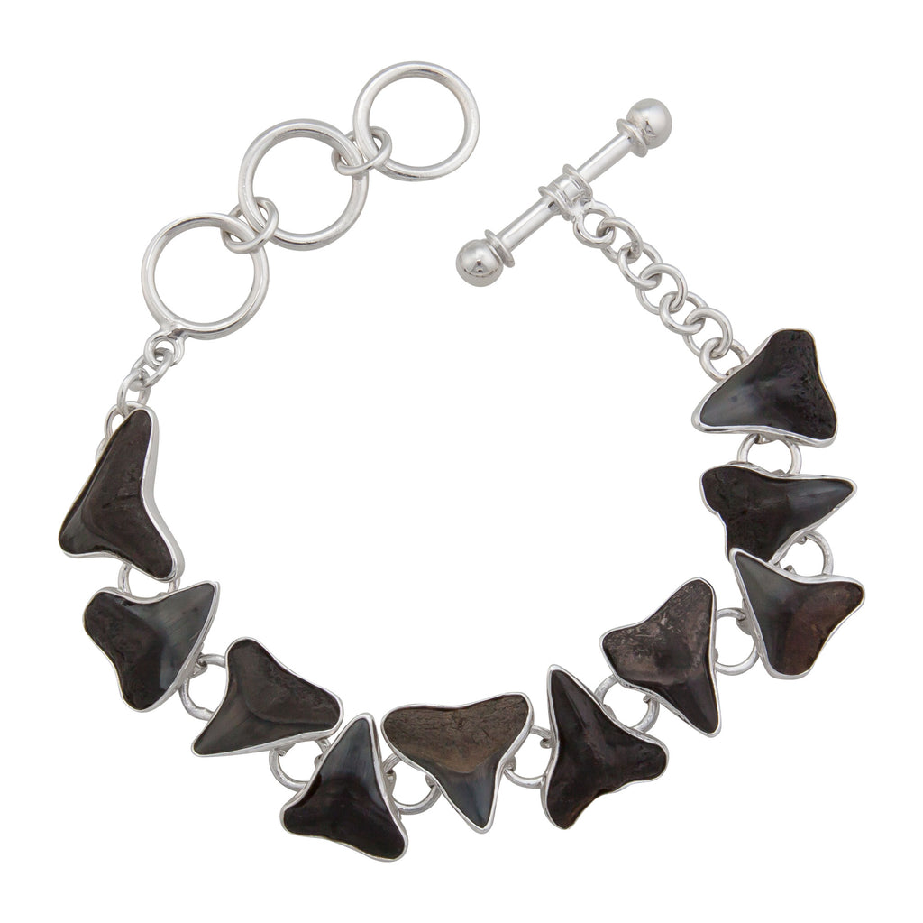 Sterling Silver Fossil Shark Teeth Bracelet Charles Albert Inc