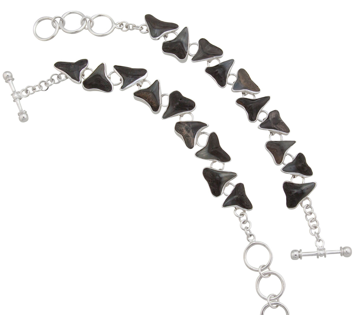 Sterling Silver Fossil Shark Teeth Bracelet | Charles Albert Jewelry