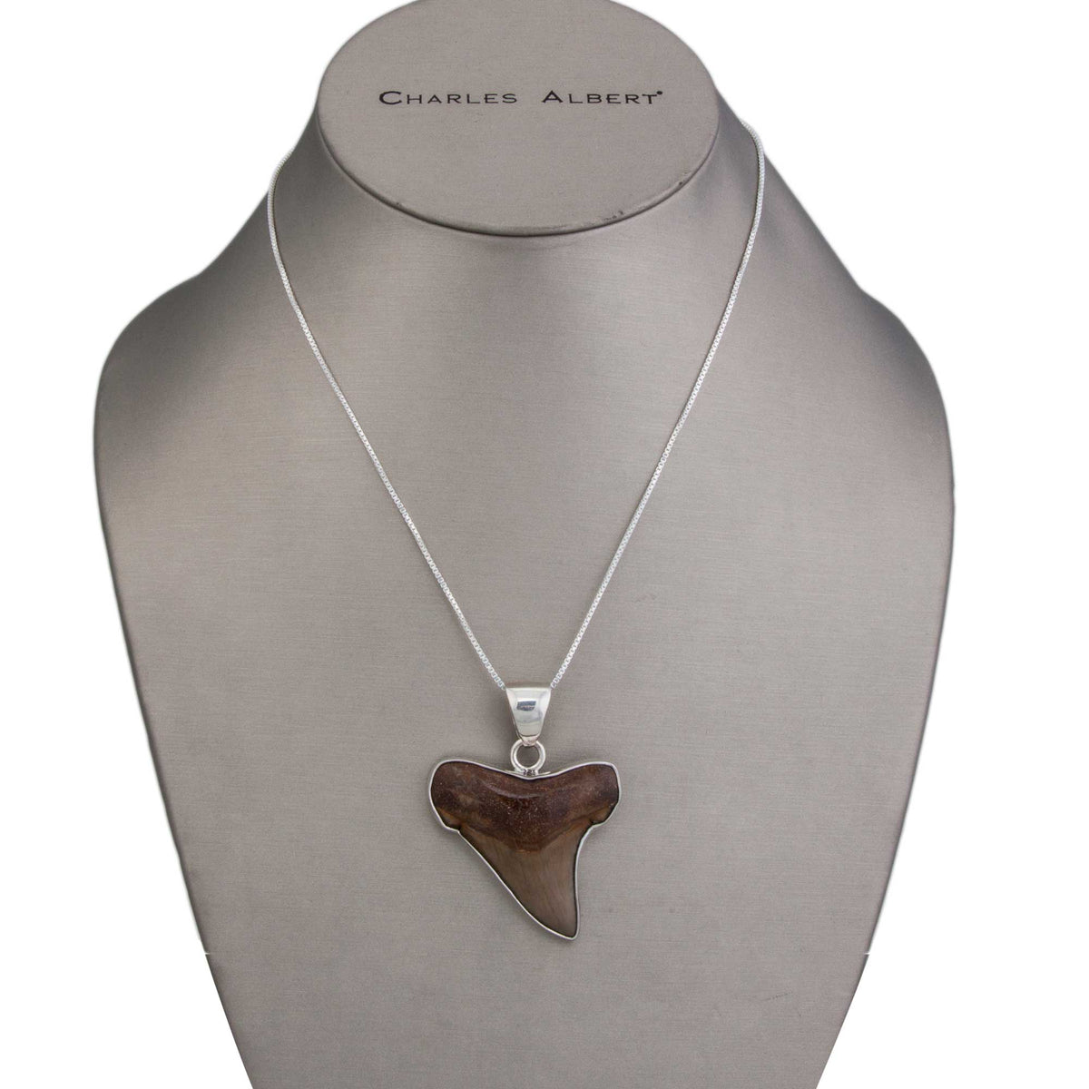 Sterling Silver Fossil Shark Tooth Pendant | Charles Albert Jewelry