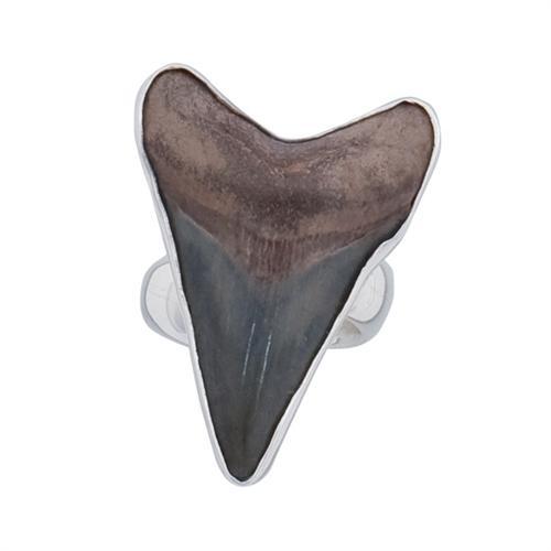 Sterling Silver Fossil Shark's Tooth Adjustable Ring | Charles Albert Jewelry