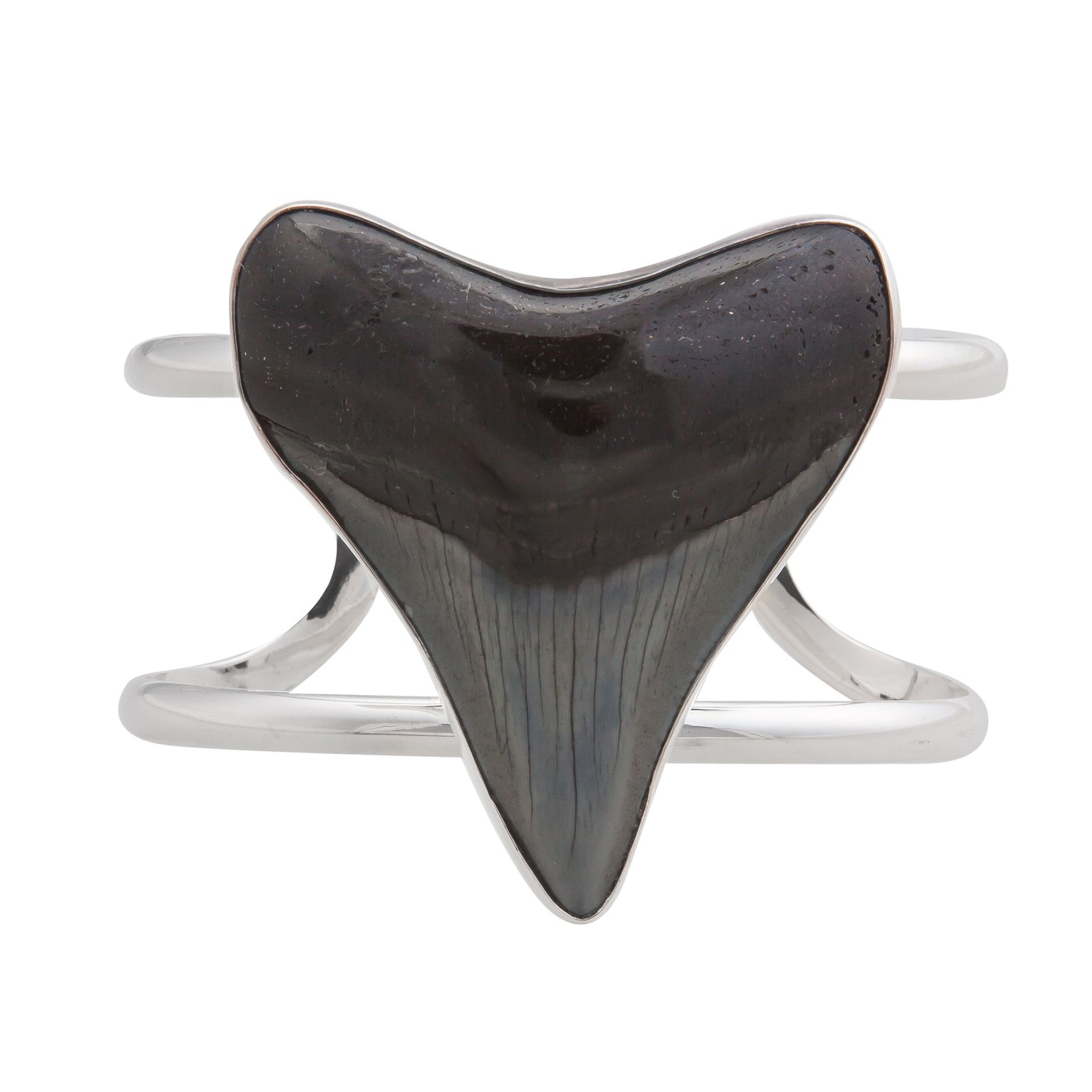 Sterling Silver Fossilized Shark Tooth Cuff | Charles Albert Jewelry