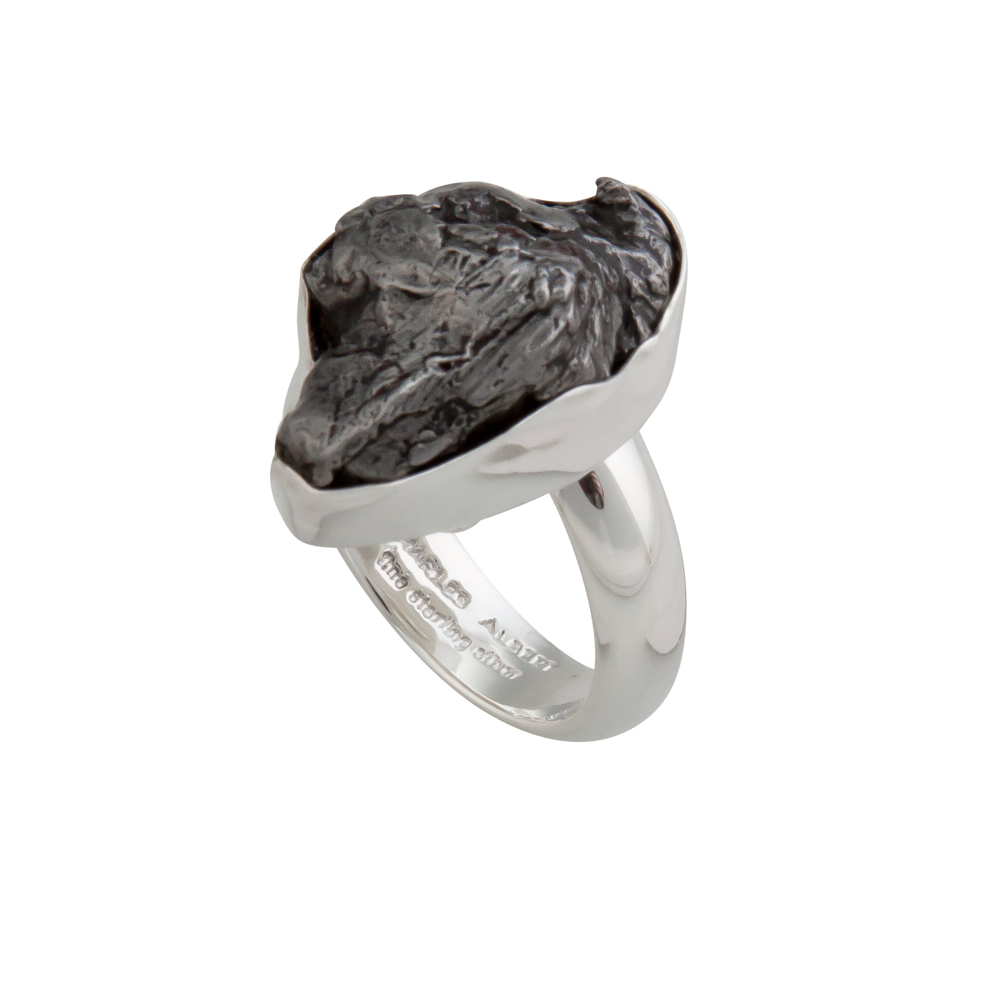 Sterling Silver Meteorite Adjustable Ring | Charles Albert Jewelry