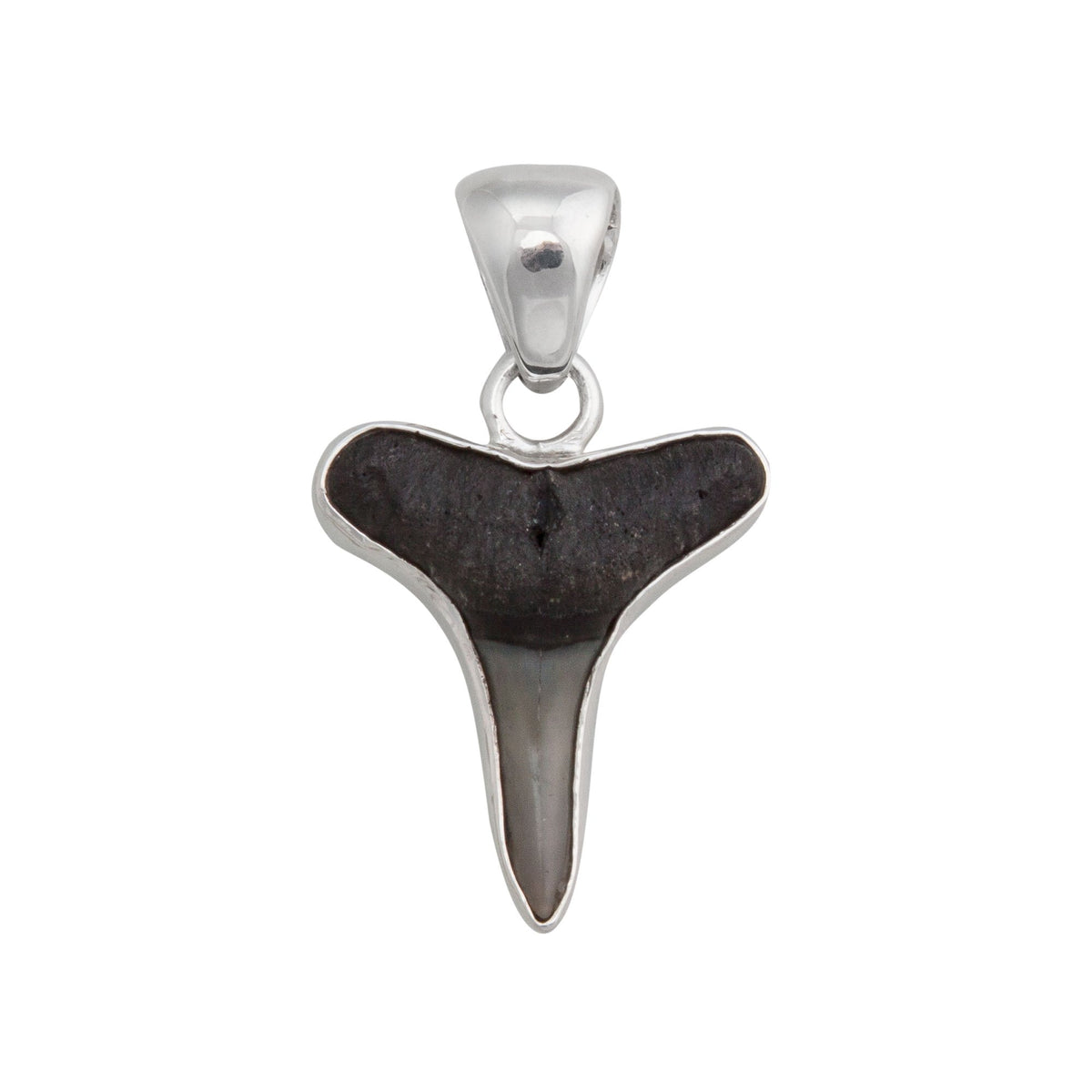 Sterling Silver Mini Shark Tooth Pendant | Charles Albert Jewelry