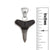 Sterling Silver Mini Shark Tooth Pendant | Charles Albert Jewelry