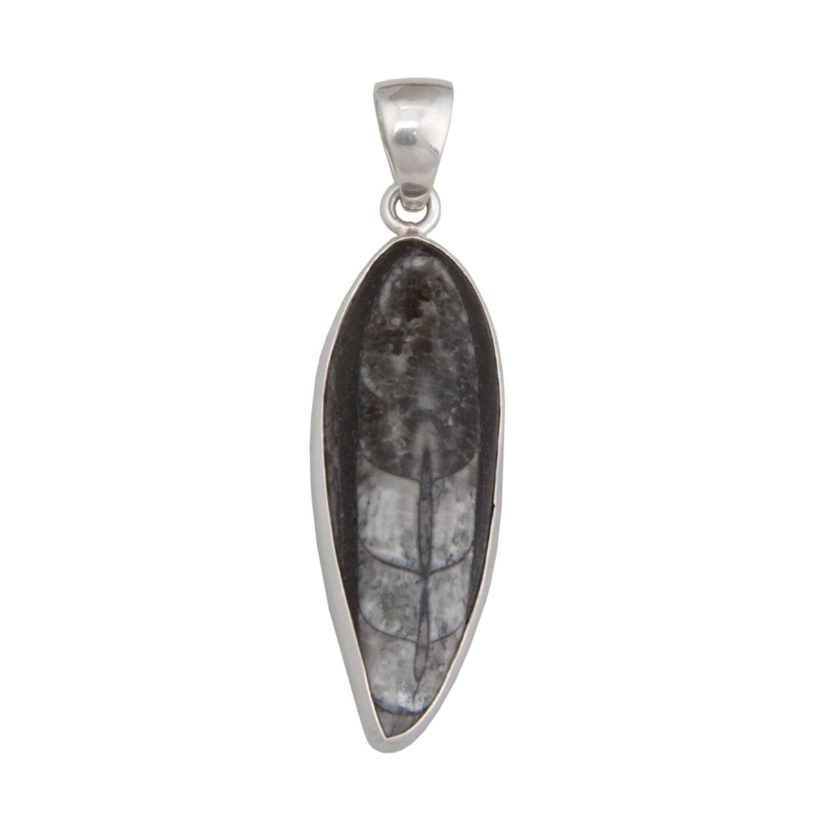 Sterling Silver Orthoceras Pendant | Charles Albert Jewelry