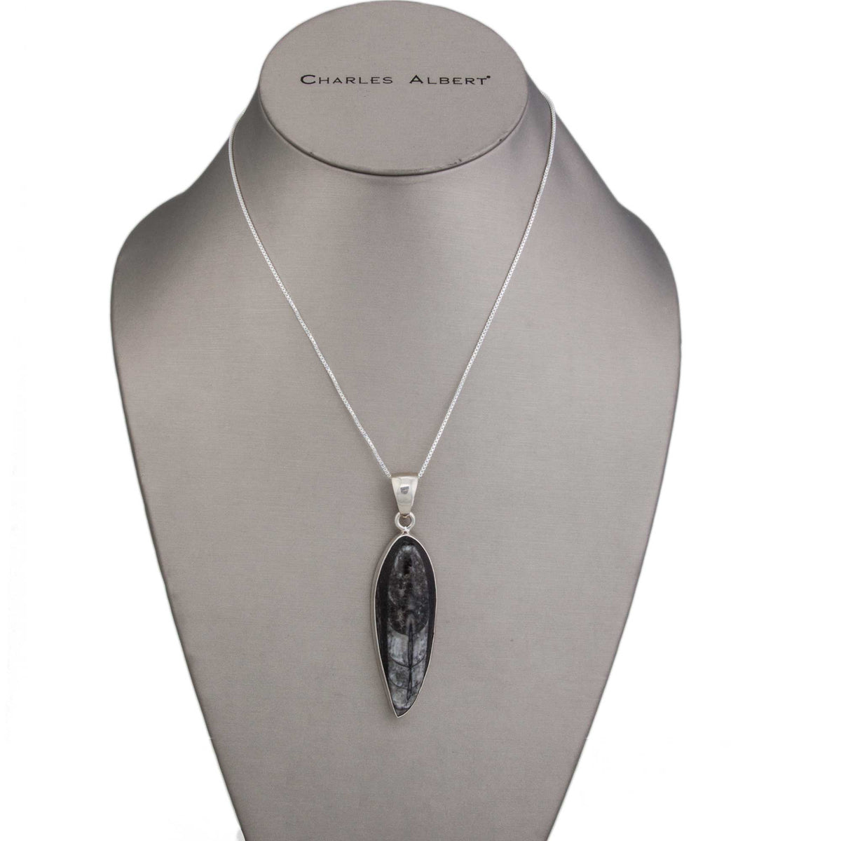Sterling Silver Orthoceras Pendant | Charles Albert Jewelry